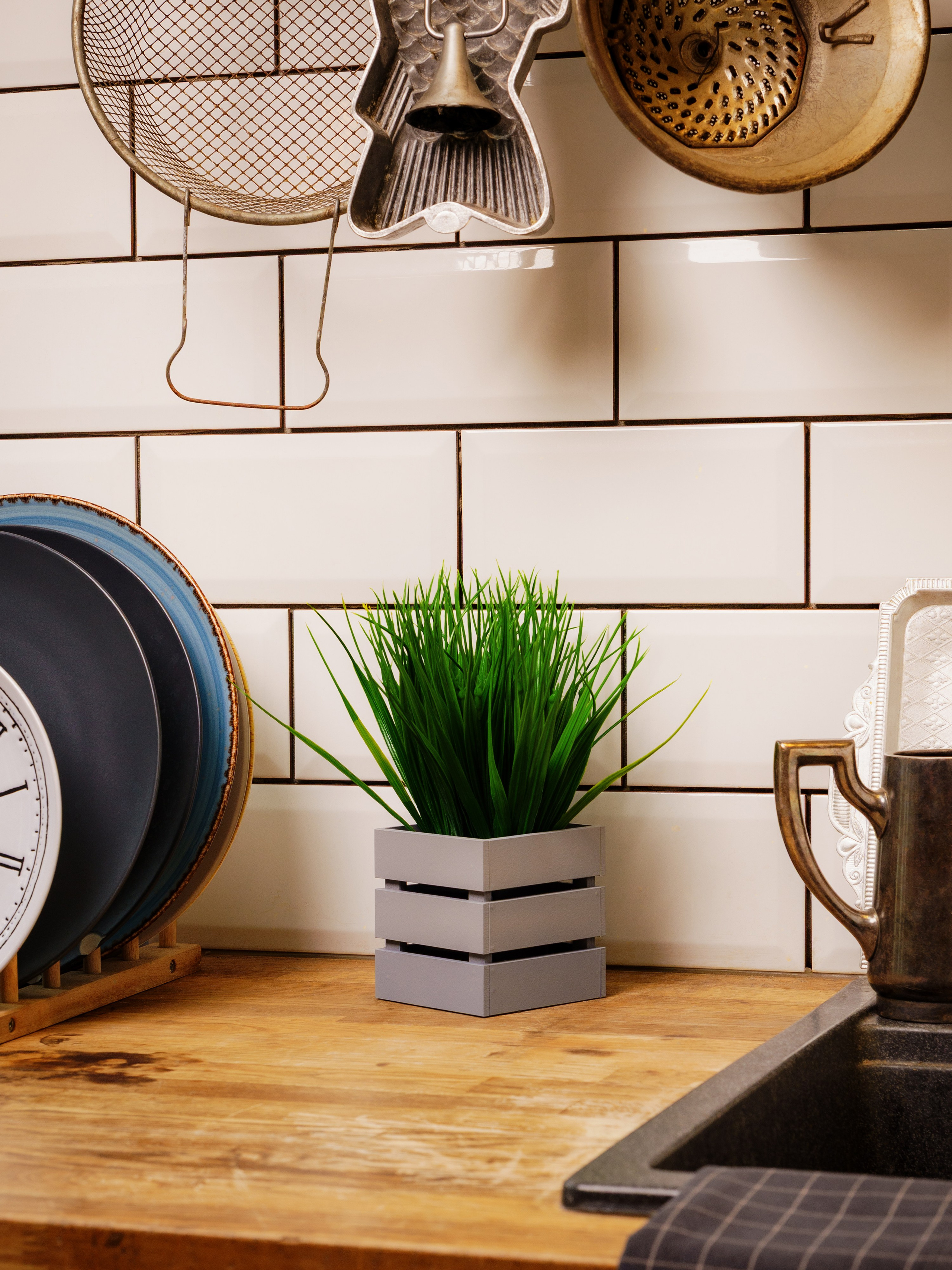 Кашпо. Макаров Сергей|Creamlebot Фотограф города Ростов-на-Дону