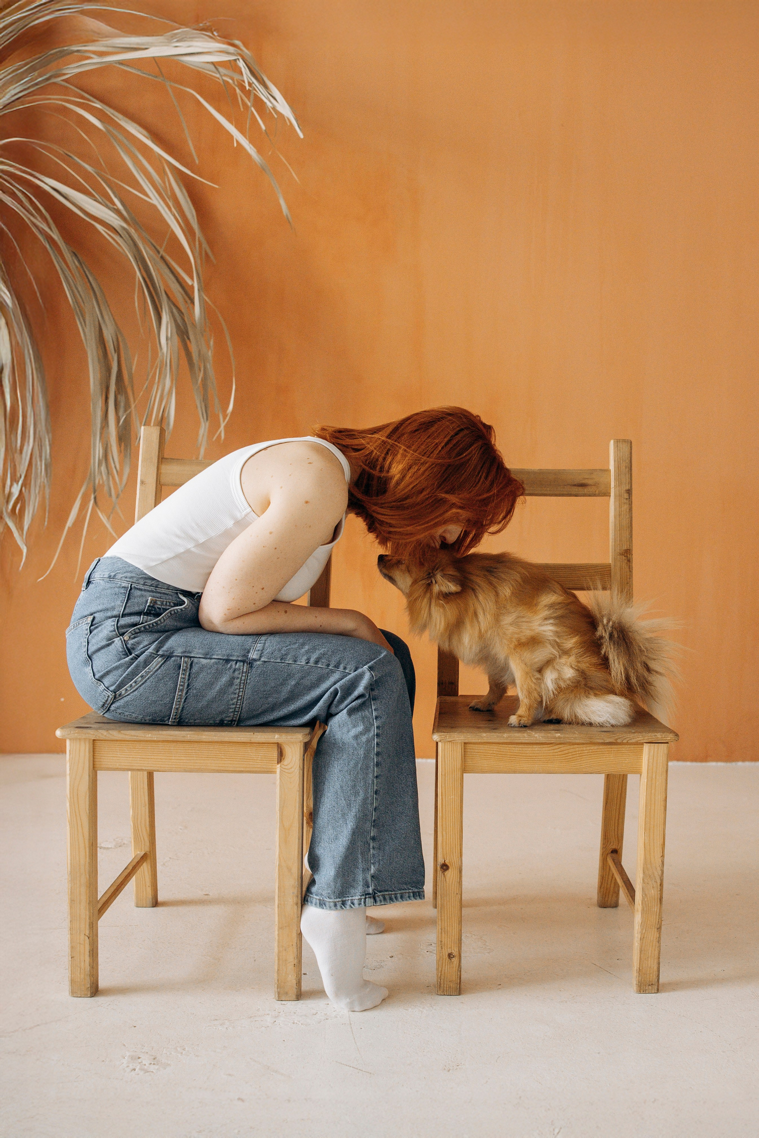 Съемка в студии с собакой. Анастасия Белаш