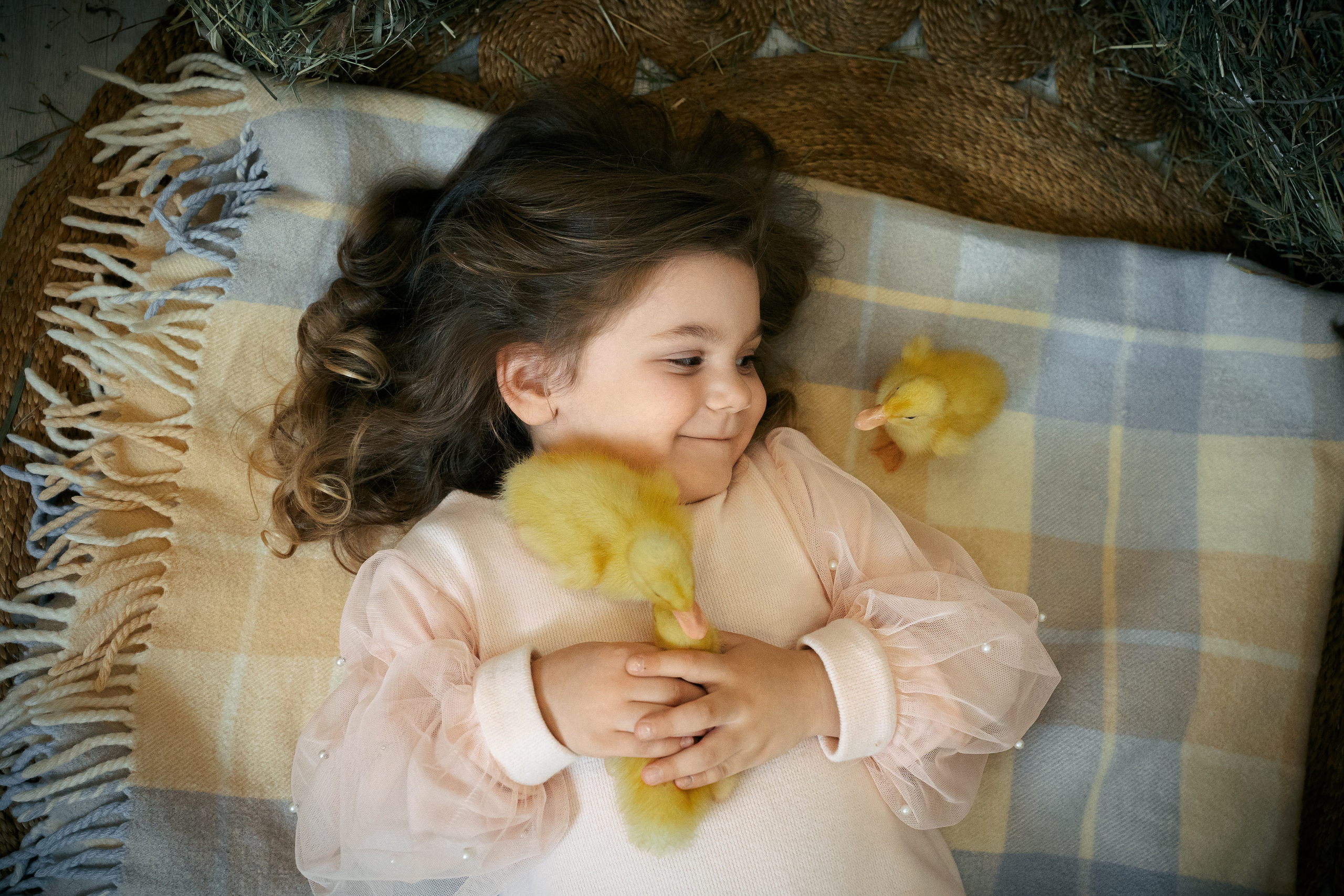 Утята. Фотограф Казакова Анастасия