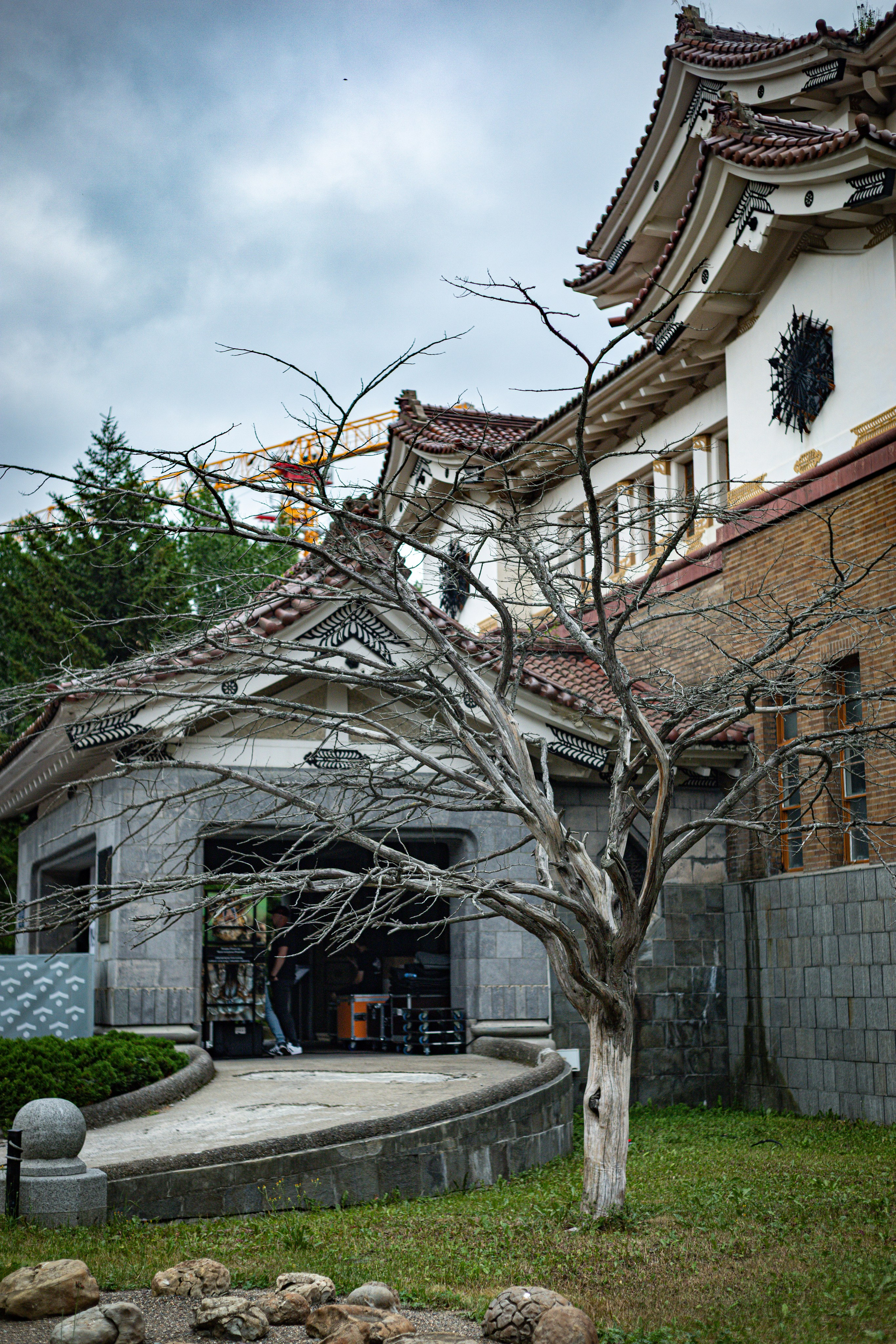 Поющий музей. Ярморка. 31-07-2025. Фотограф в Южно-Сахалинске Гусаков Евгений