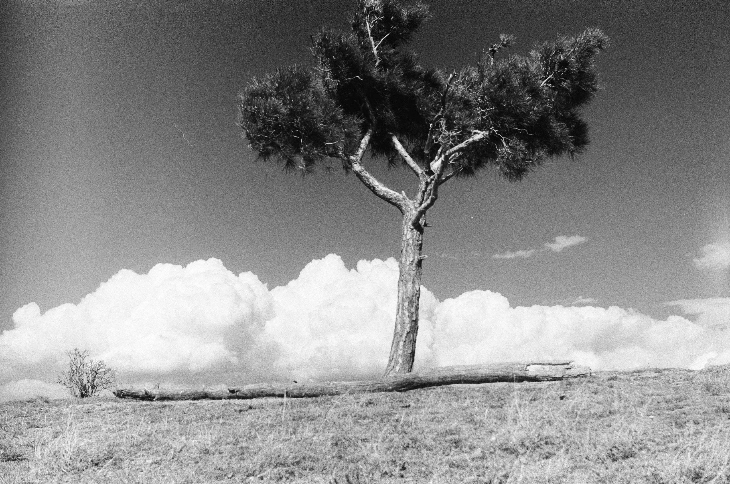 Test Film. Dmitriy [KCCC] is a pretty cool photographer