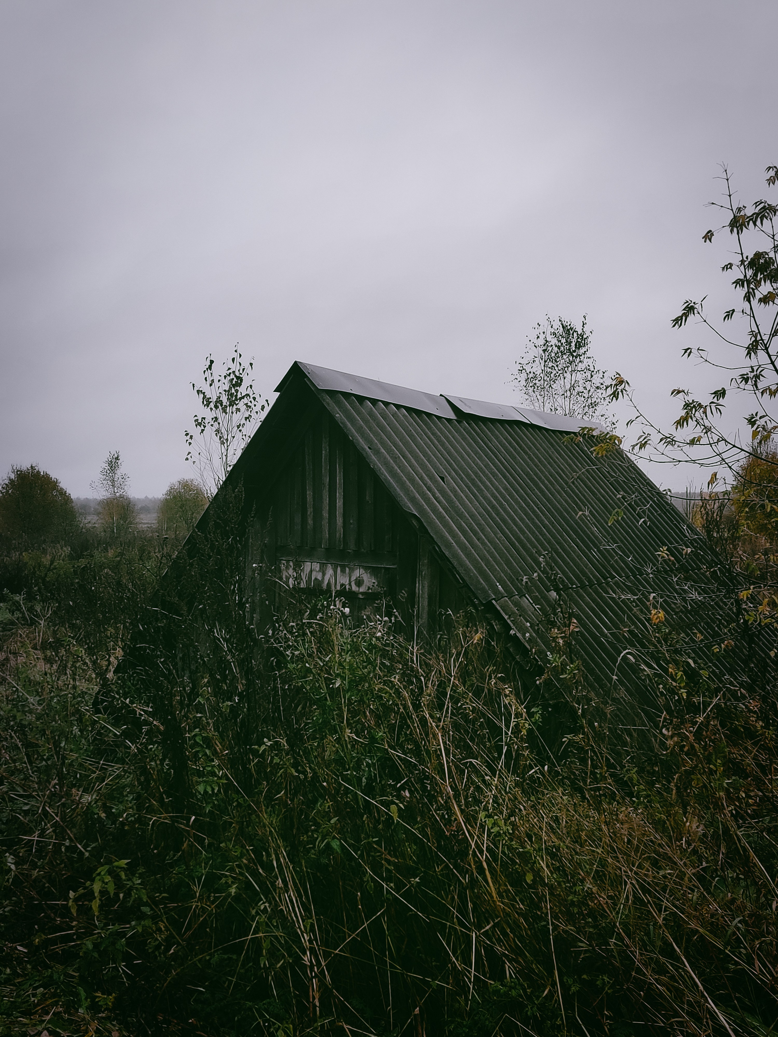 Вятское. Dmitriy [KCCC] is a pretty cool photographer