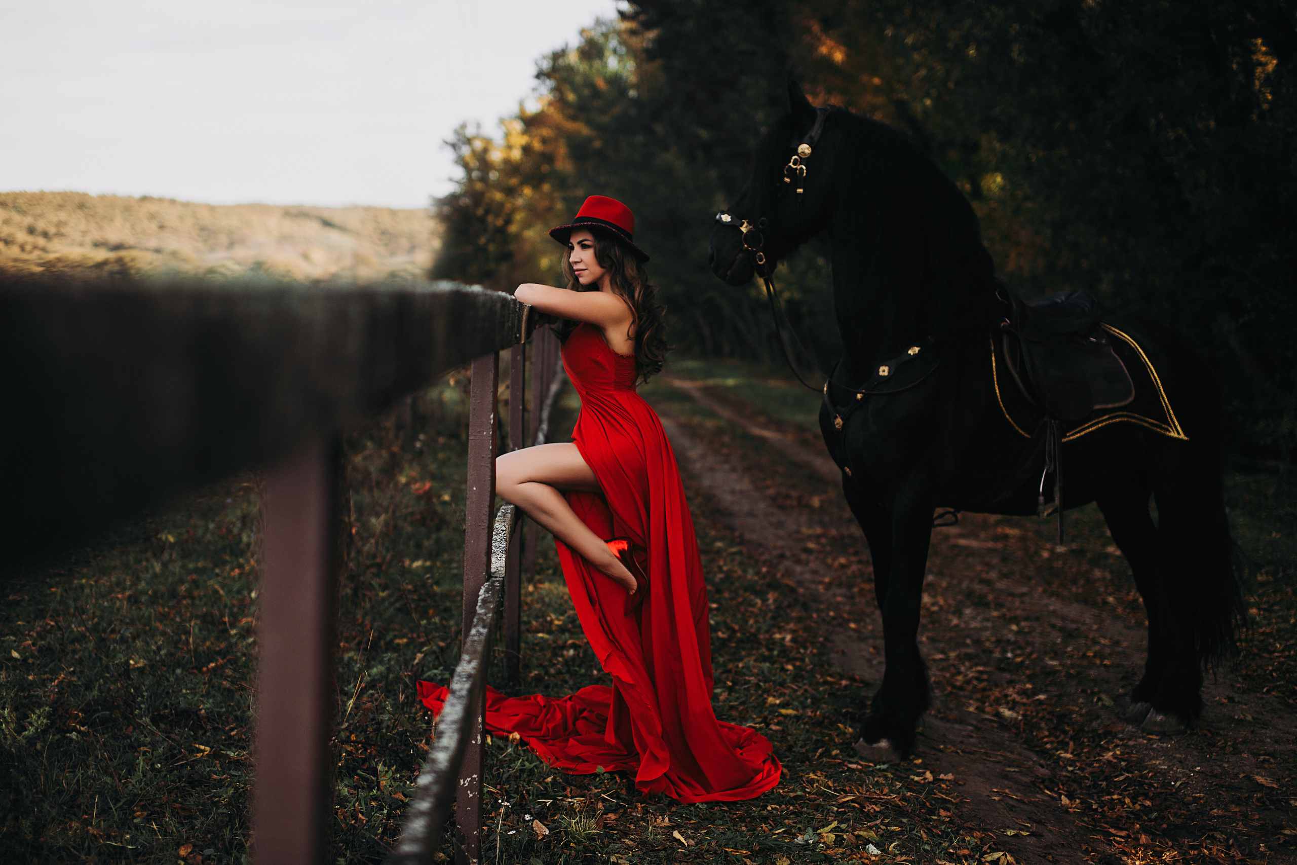 Фриз Арнольд и Роксана. Свадебный и семейный фотограф/видеограф в Краснодаре Наталья Осинская