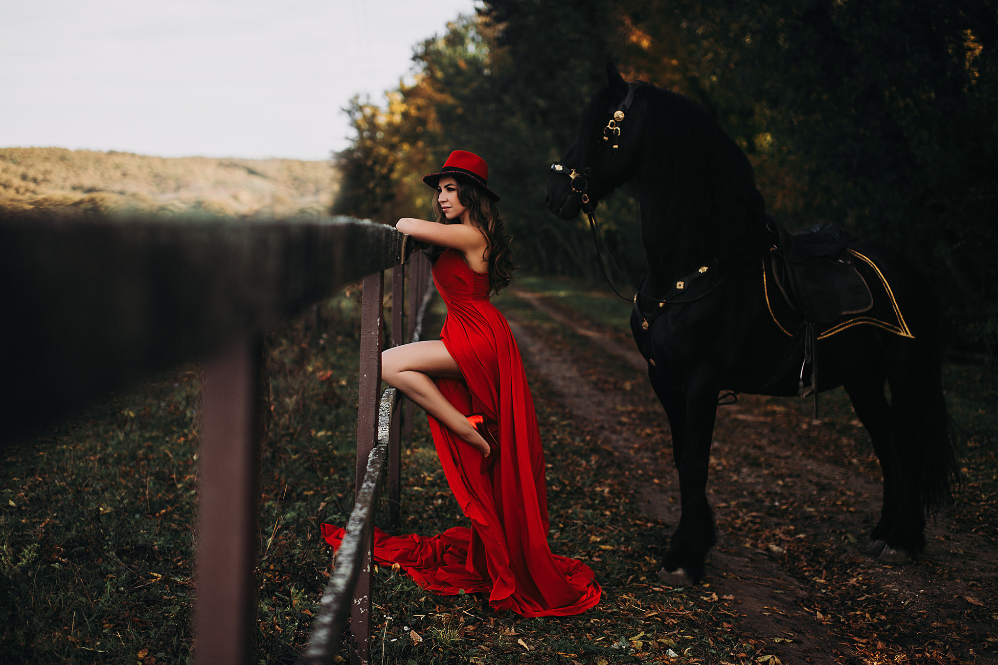 Фотодень с Фризом. Свадебный и семейный фотограф/видеограф в Краснодаре Наталья Осинская