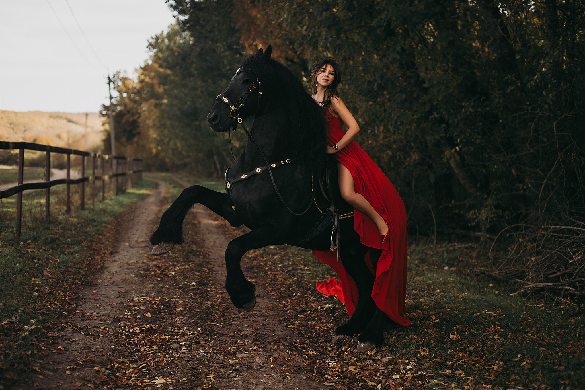 Фотодень с Фризом. Свадебный и семейный фотограф/видеограф в Краснодаре Наталья Осинская