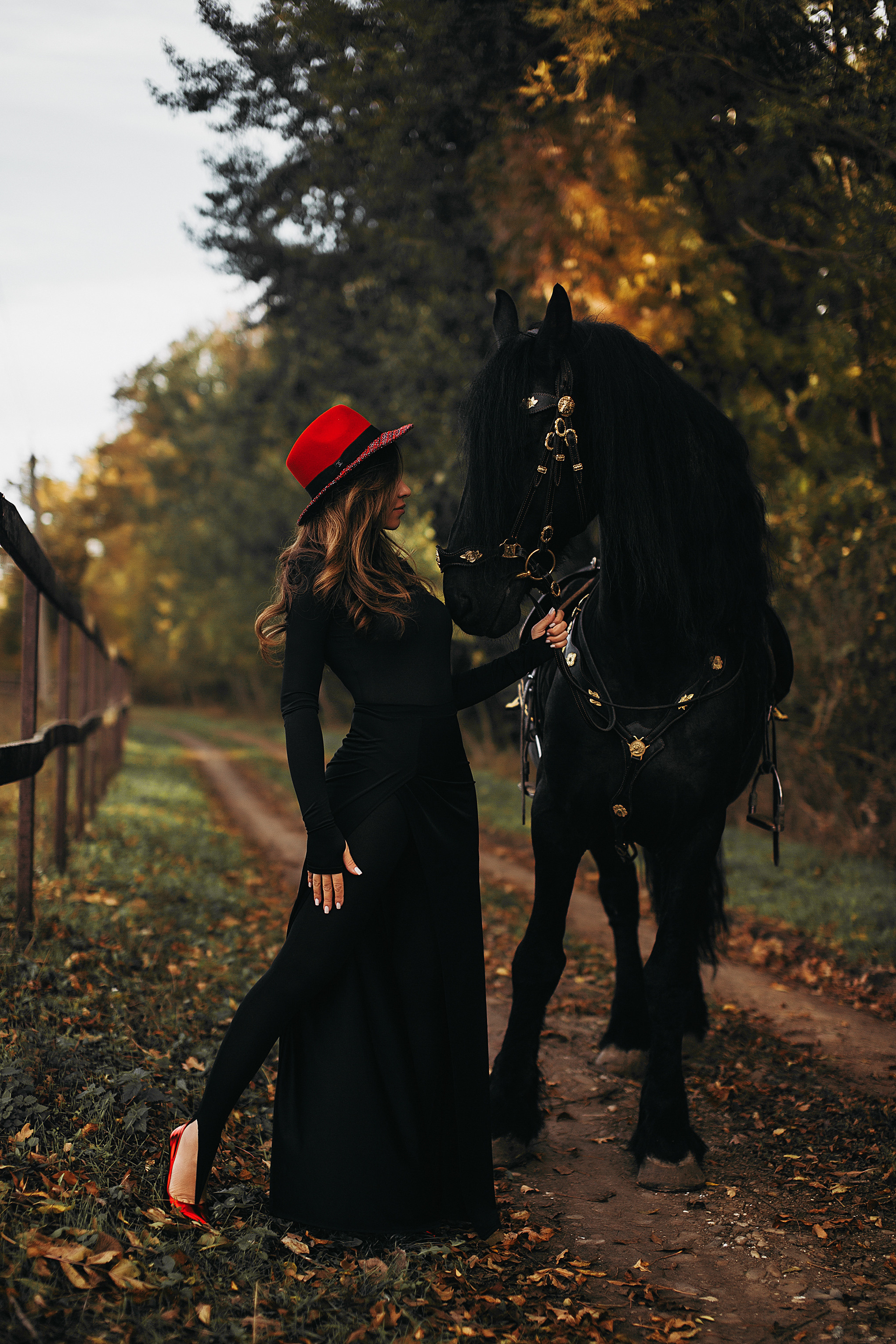 Фотодень с Фризом. Свадебный и семейный фотограф/видеограф в Краснодаре Наталья Осинская