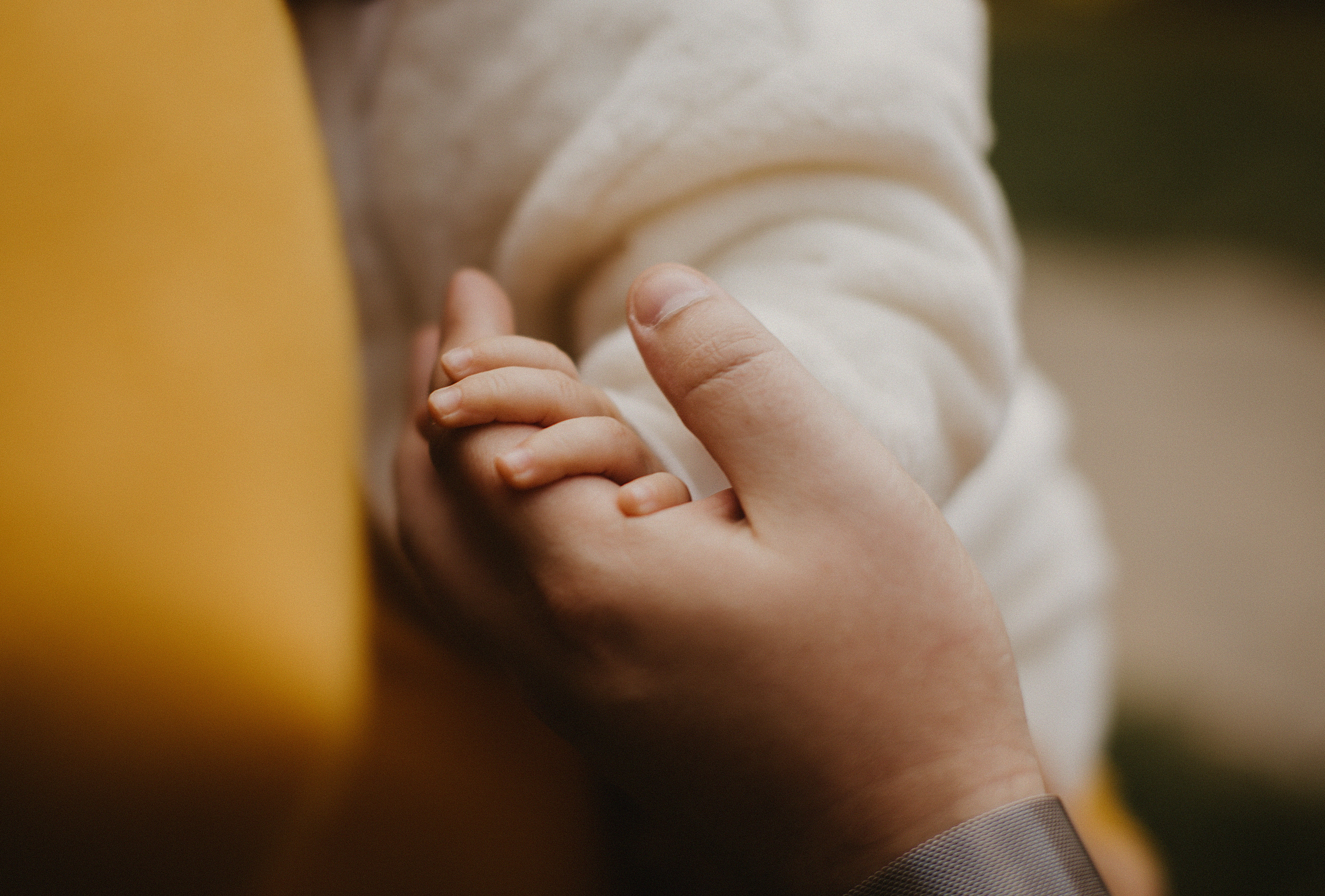 Осень в Рождественском парке. Свадебный и семейный фотограф/видеограф в Краснодаре Наталья Осинская