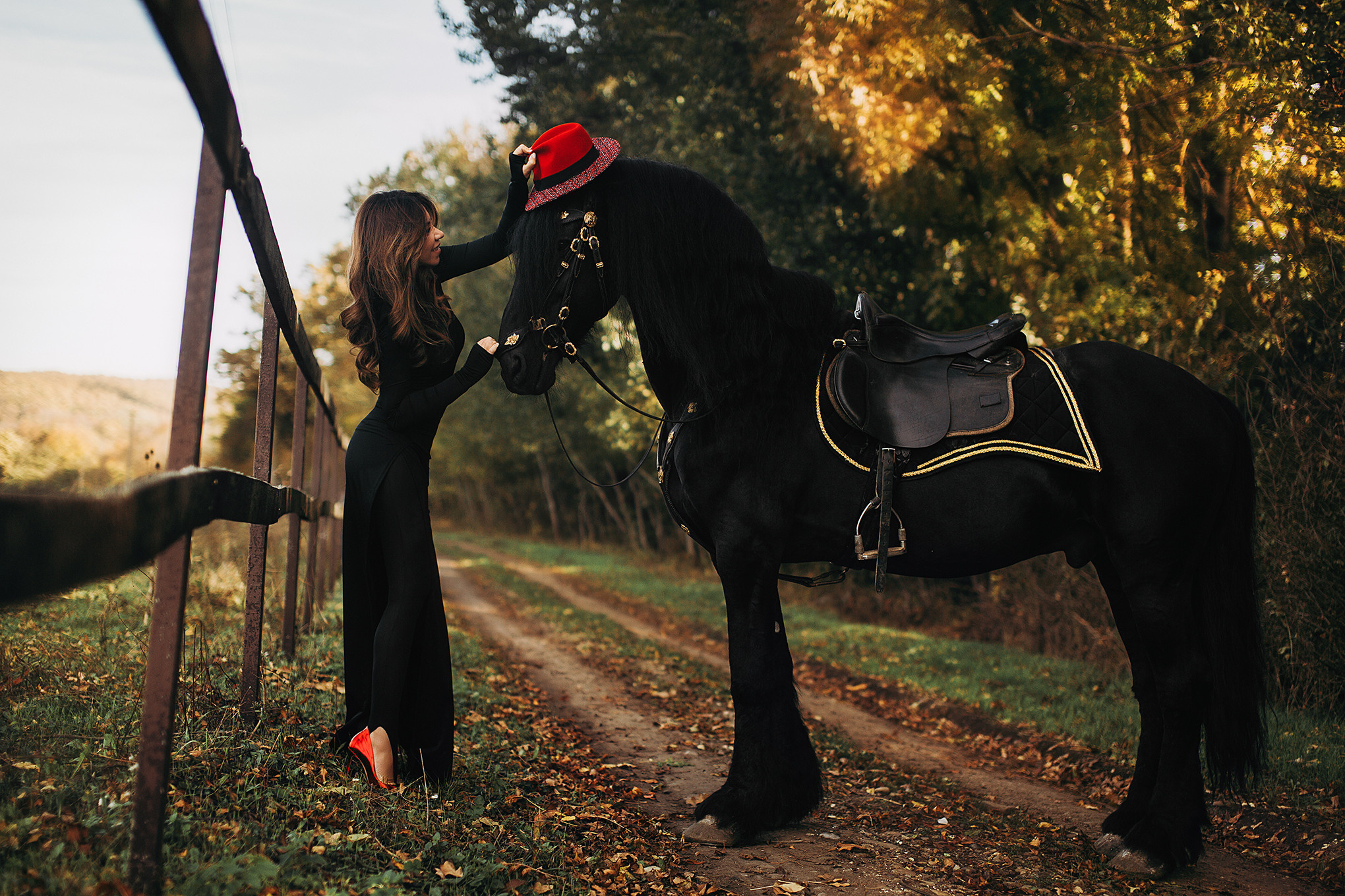 Фотодень с Фризом. Свадебный и семейный фотограф/видеограф в Краснодаре Наталья Осинская