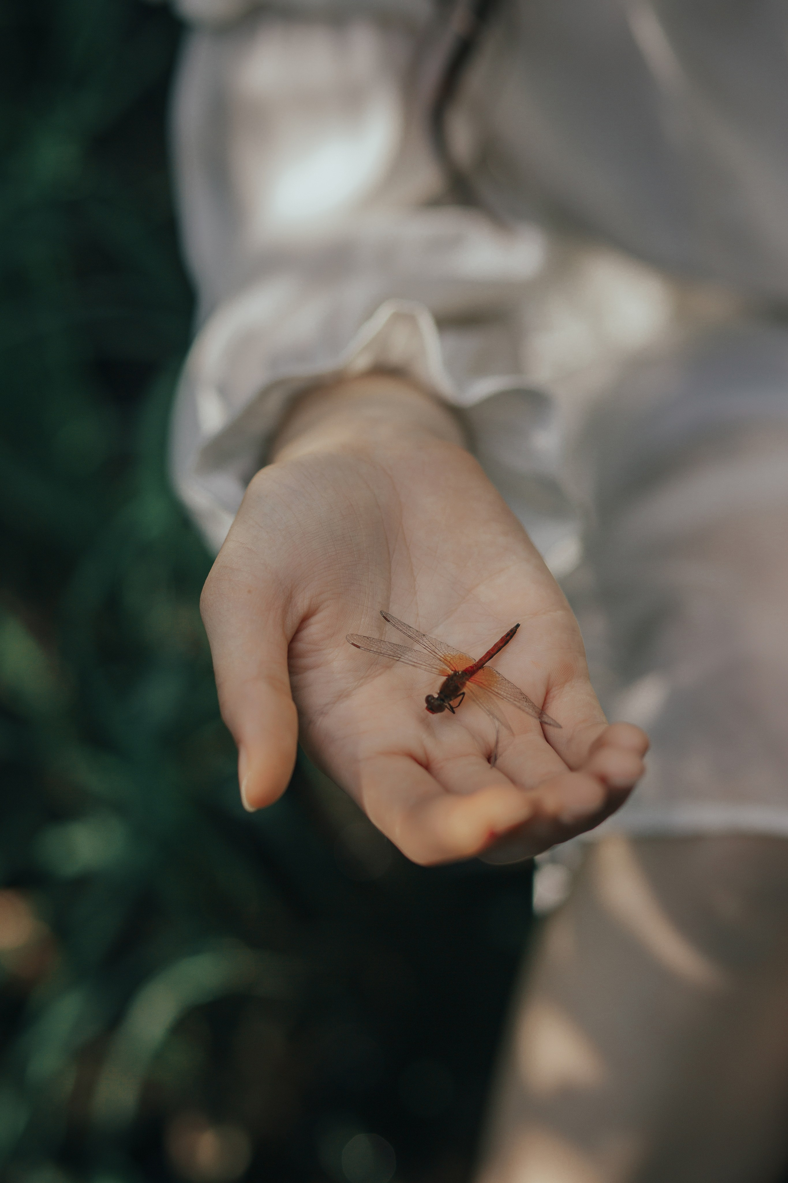 Сказочная фотосессия. Фотограф в Новосибирске Краснова Евгения