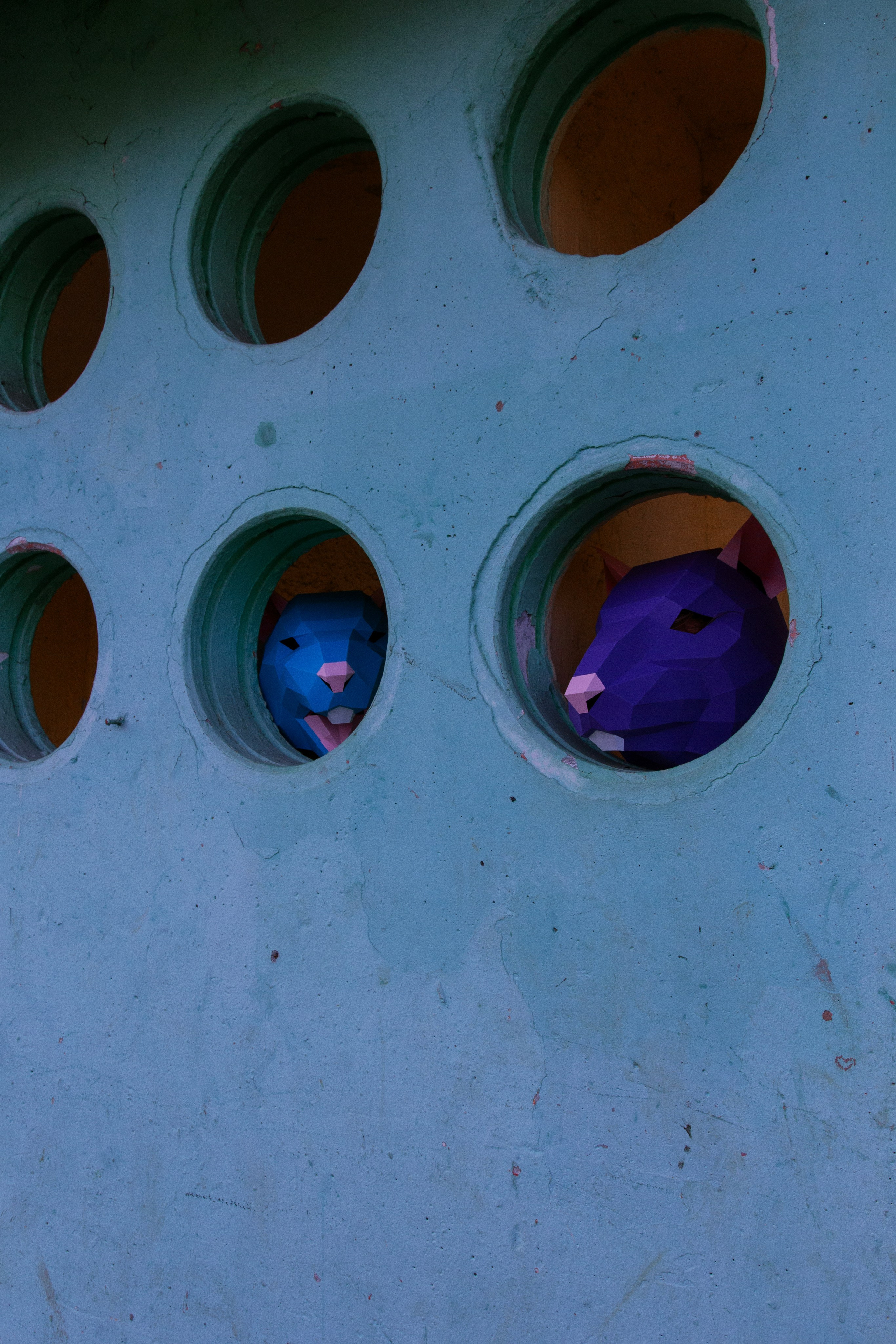 Красивая крысиная любовь