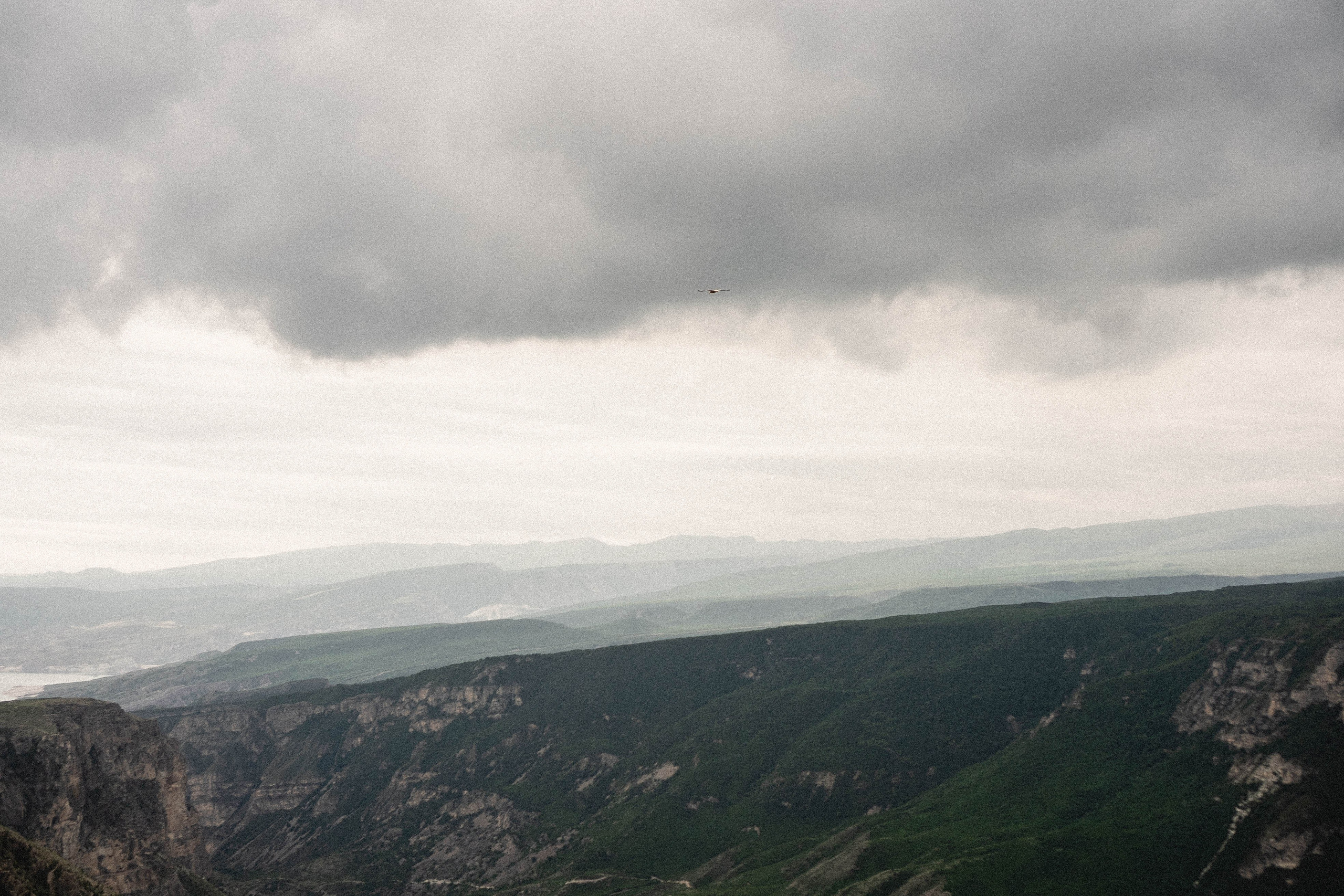 Кавказ. Профессиональный фотограф, Санкт-Петербург — Виктория Богомолова