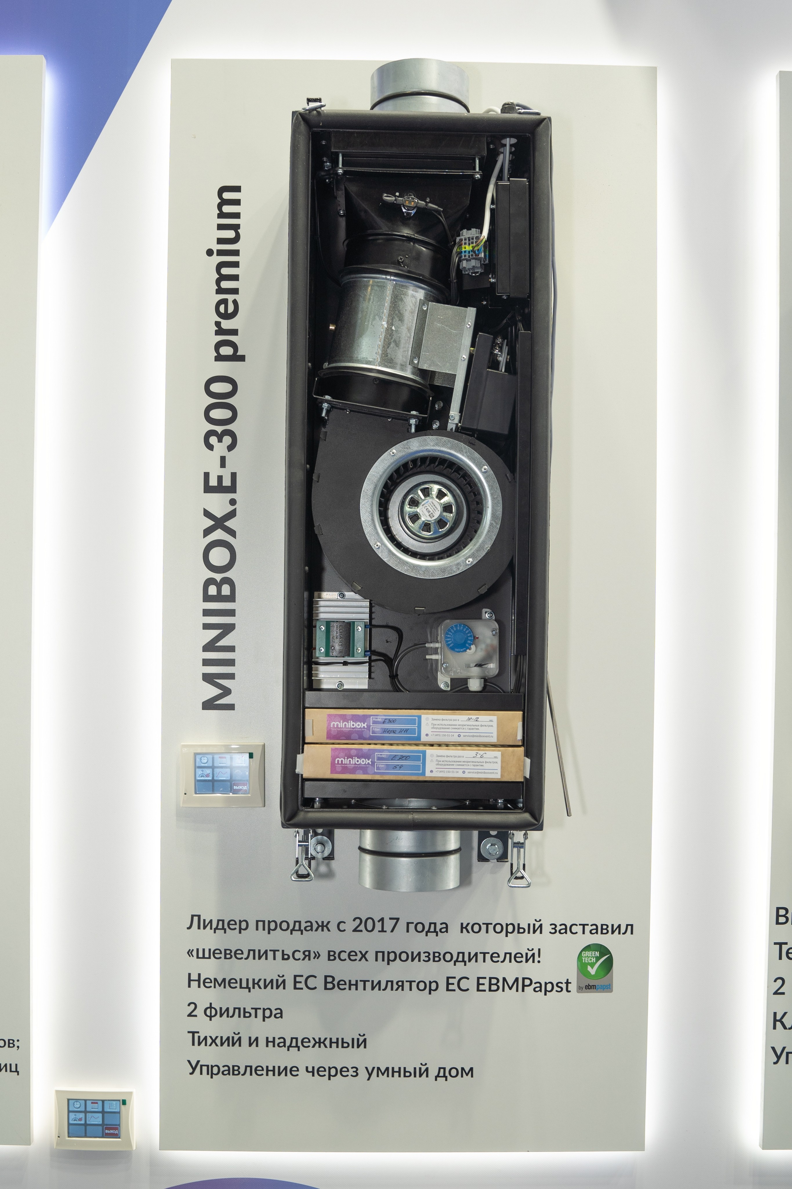 Крокус Вентиляция. Фотограф Зинаида Евдокимова