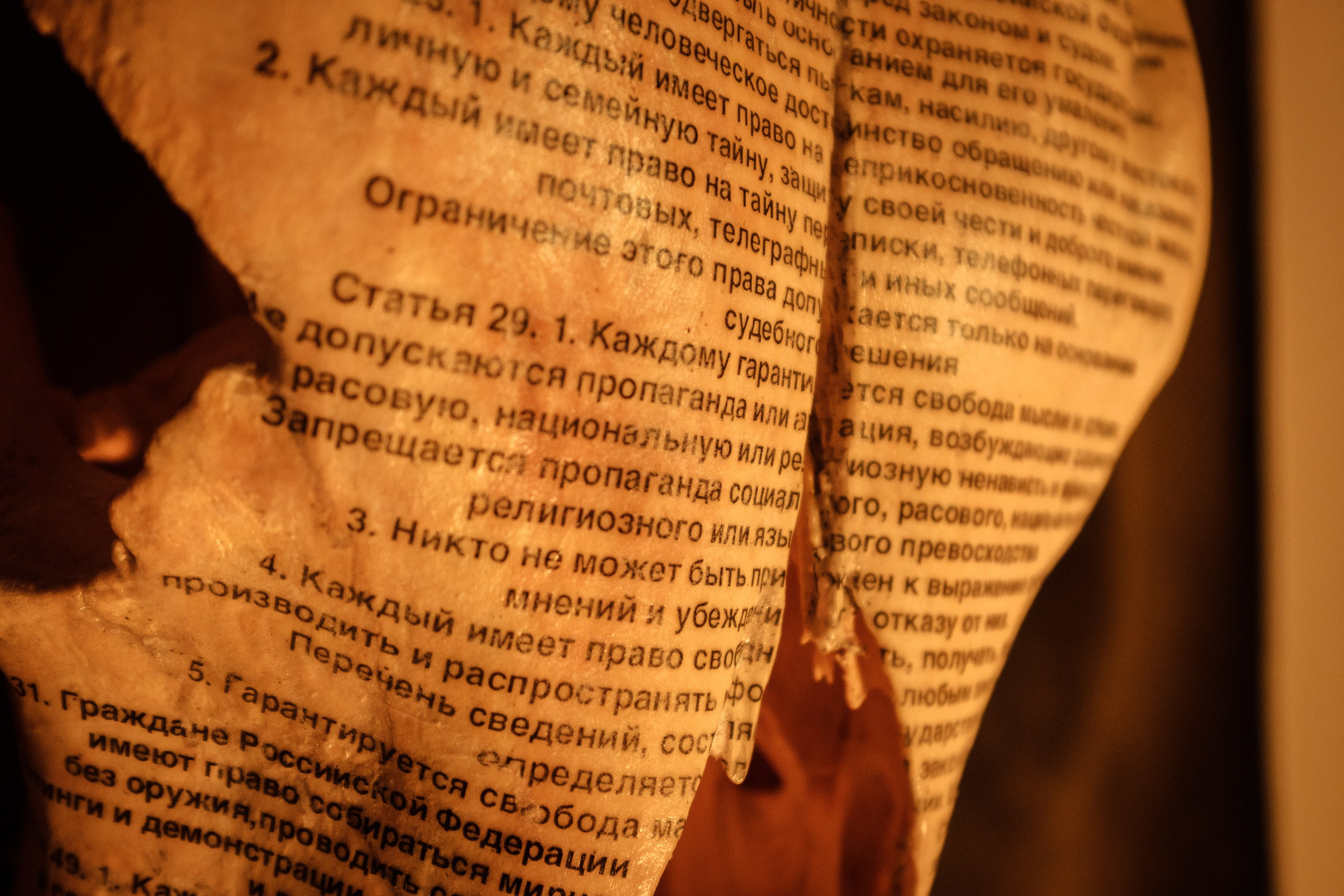 The Sacred Cow is dead for a long time. Alexandr Staub Multidisciplinary artist