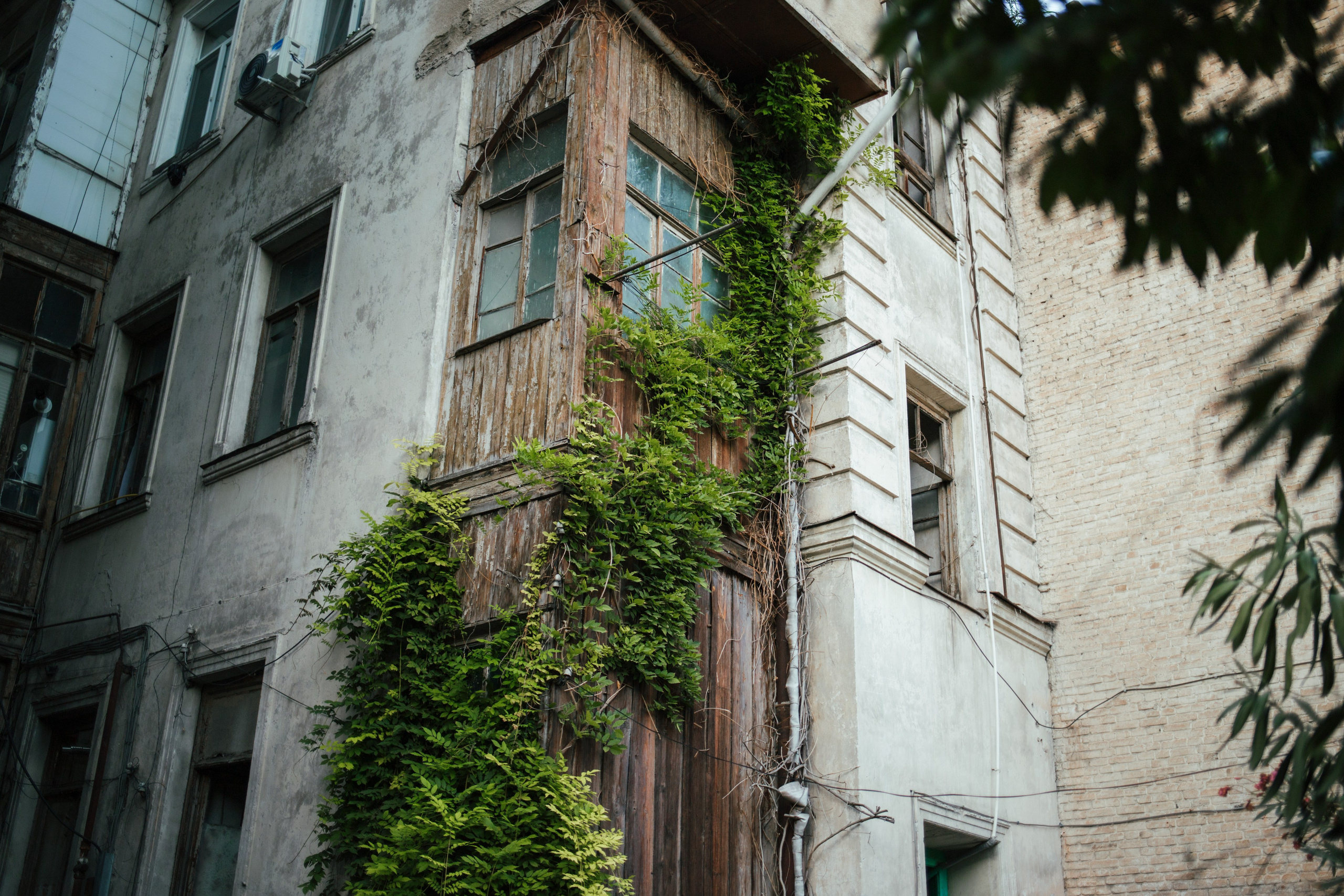 Tbilisi, Georgia. Photographer Alina Skitovich