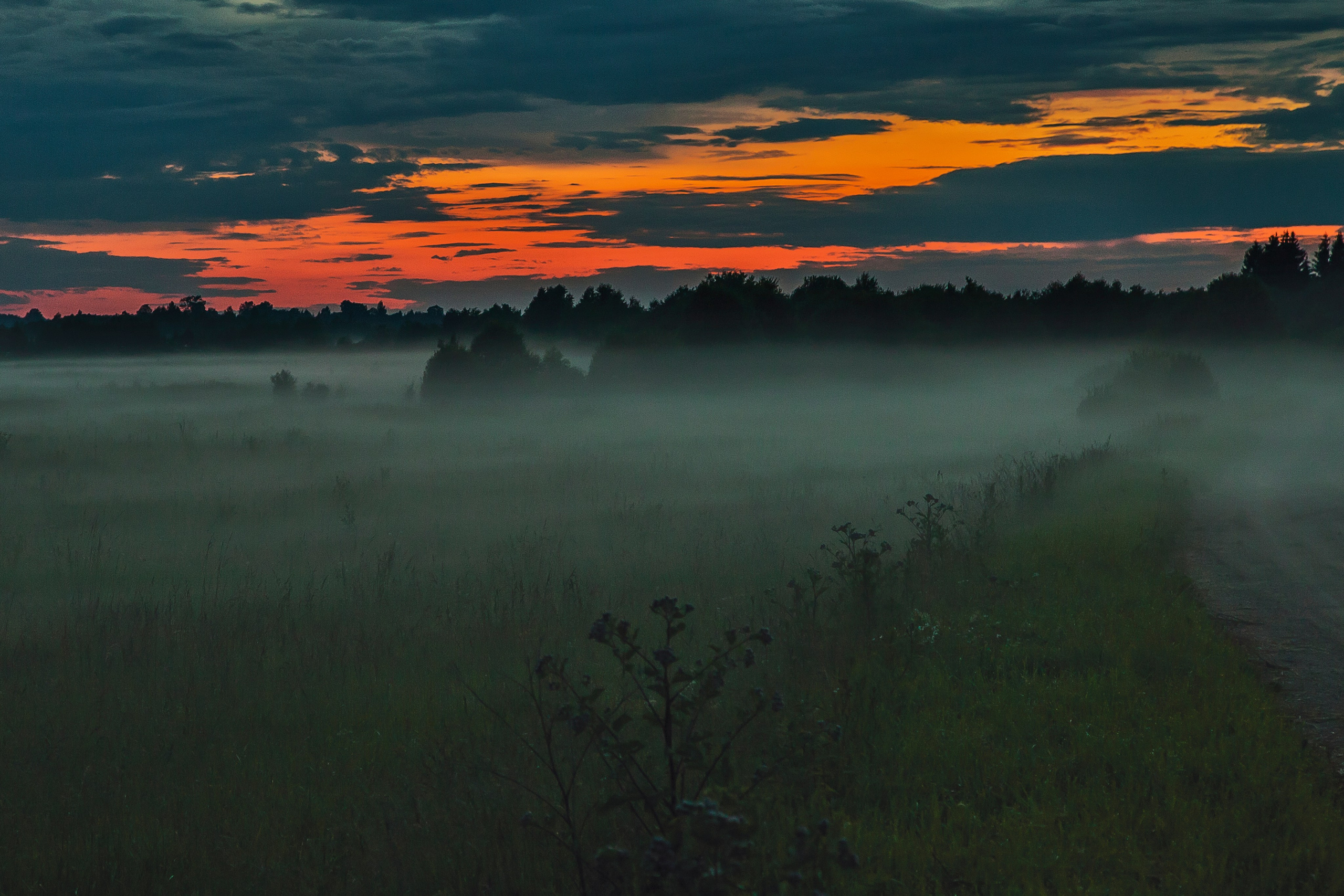 Цвет как объект. Свадьбы, портретная, предметная съемка. Фотограф Александр К