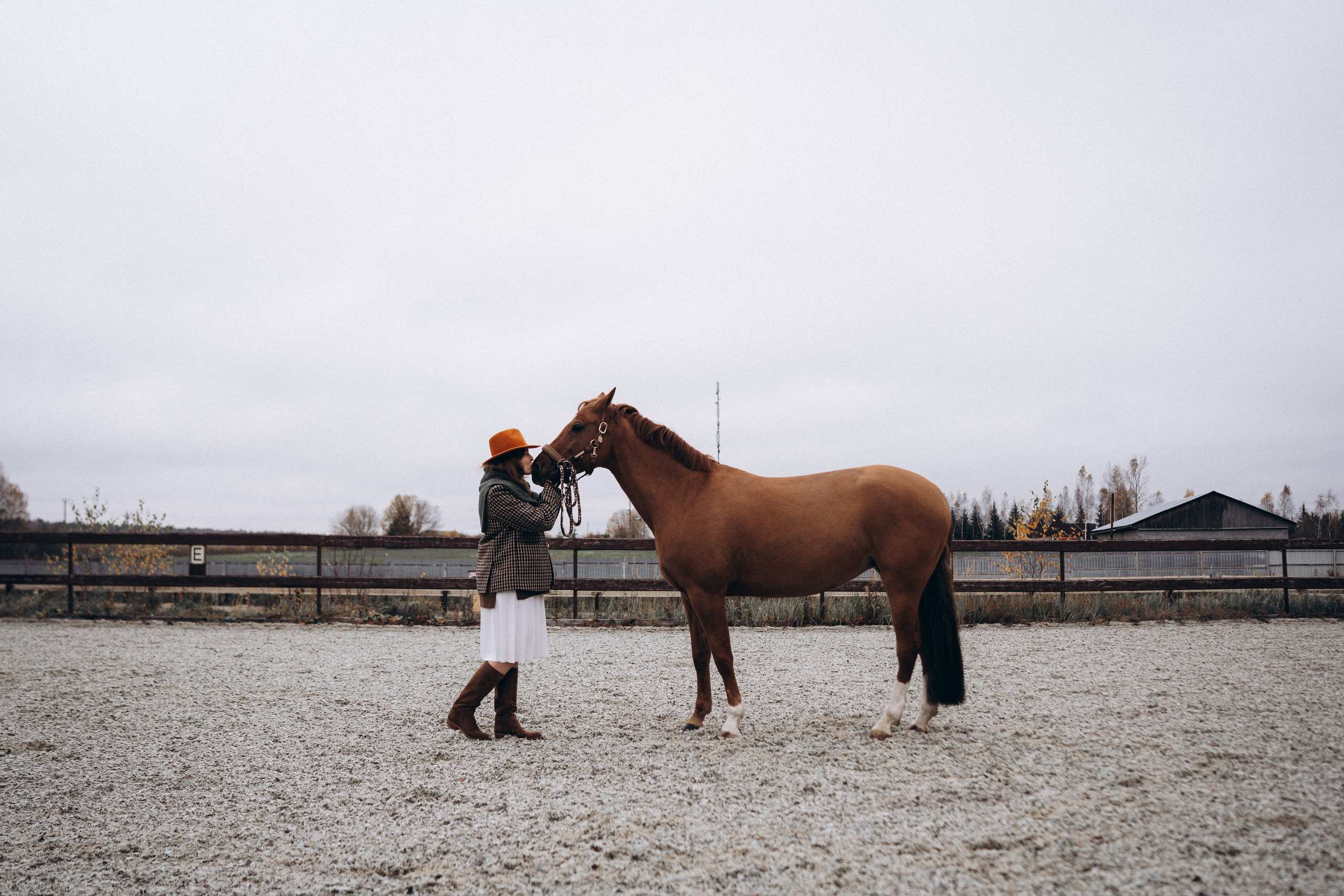 Фотосессия с лошадьми. Фотограф Новорожденных в Москве. Семейные истории в стиле LIFE
