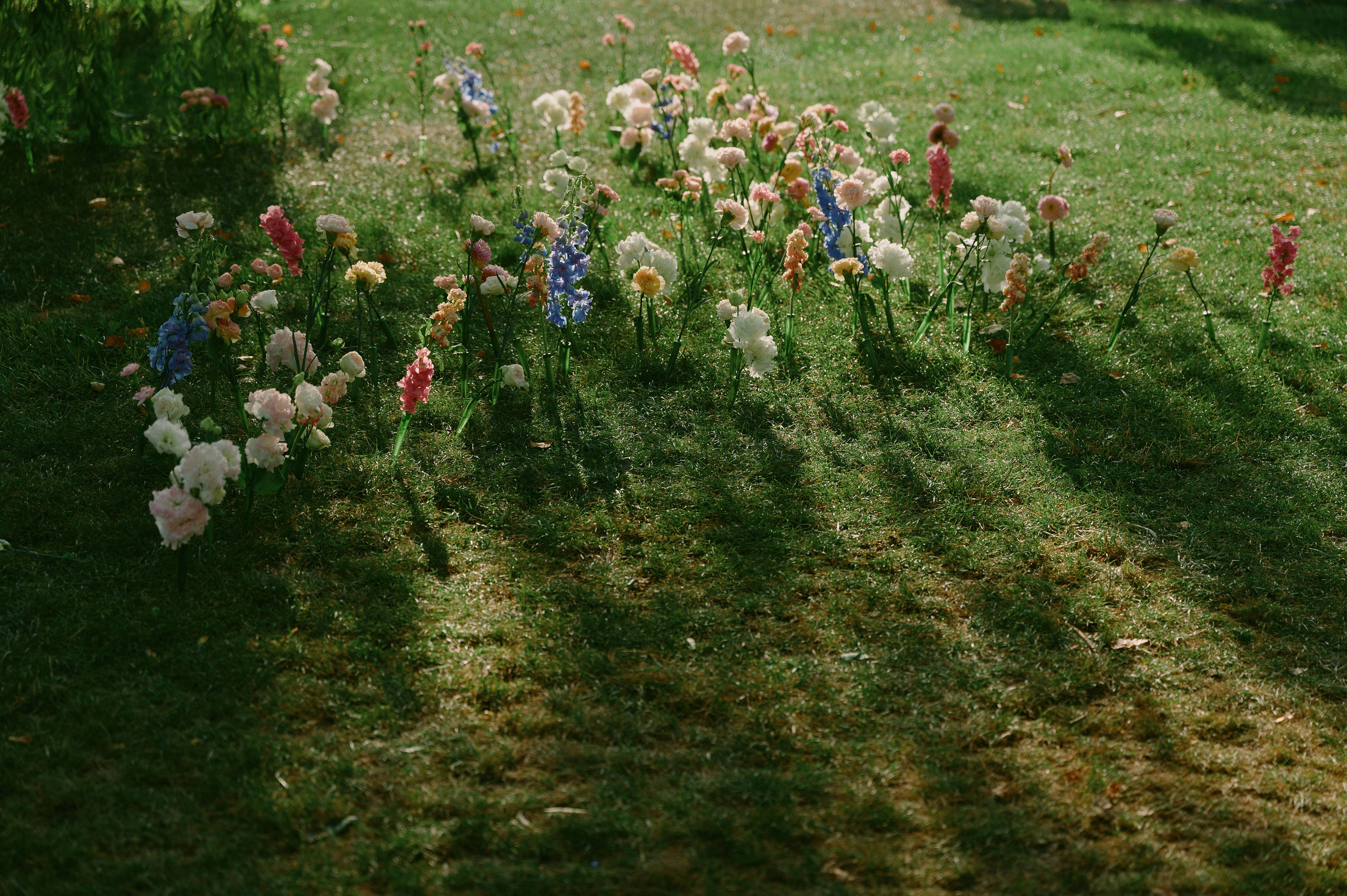 Лина и Стас. Свадебный фотограф в Ростовe-на-Дону Анастасия Прутова