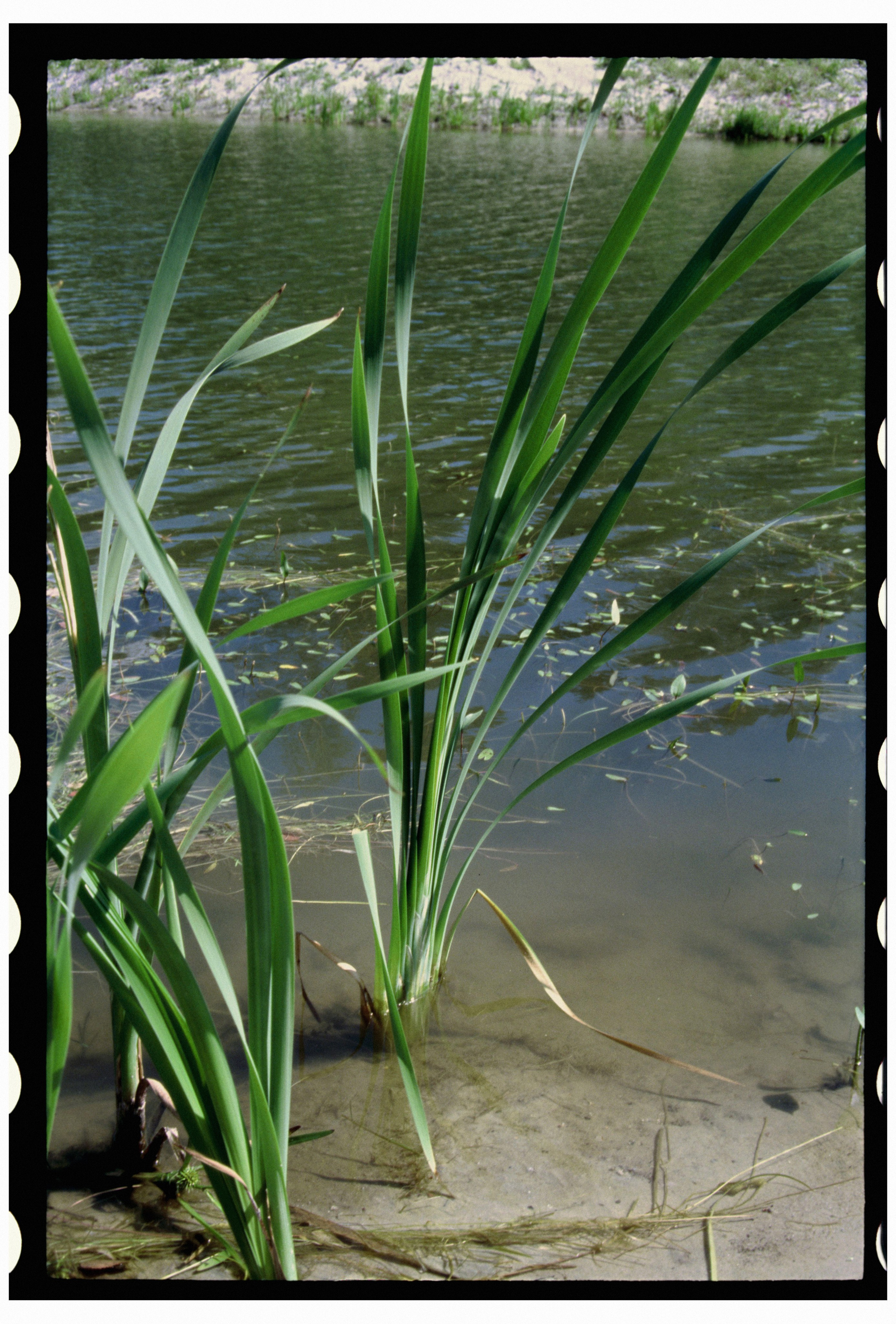 KALUGA. ANNA — PHOTOGRAPHER