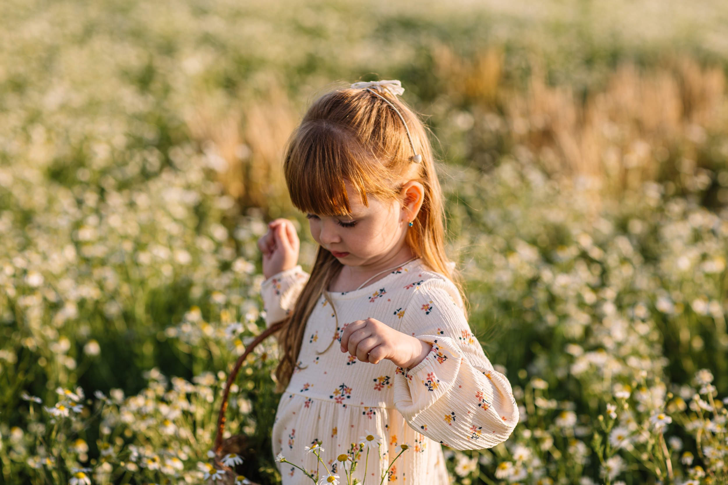 Семейная на природе (ромашковые поля). Семейный и Детский фотограф г. Москва, г. Борисоглебск