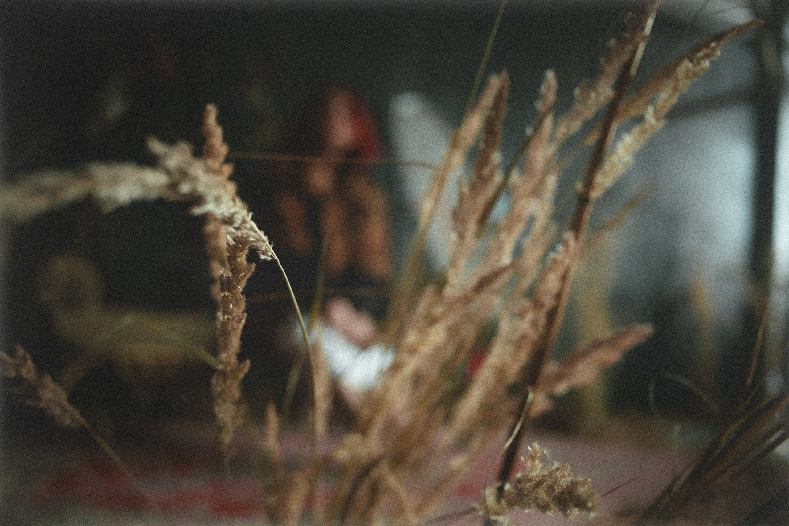 Илона. Фотостудия Nirvana. RawCat. Портретная фотография Екатеринбург