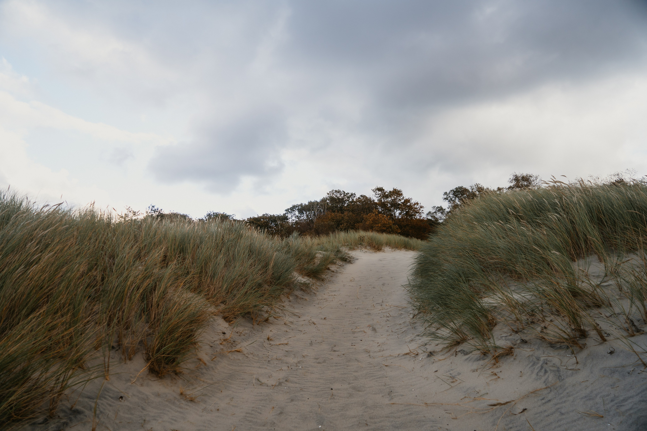 Балтийск/Калининград. Свадебный и семейный фотограф/видеограф в Краснодаре Наталья Осинская