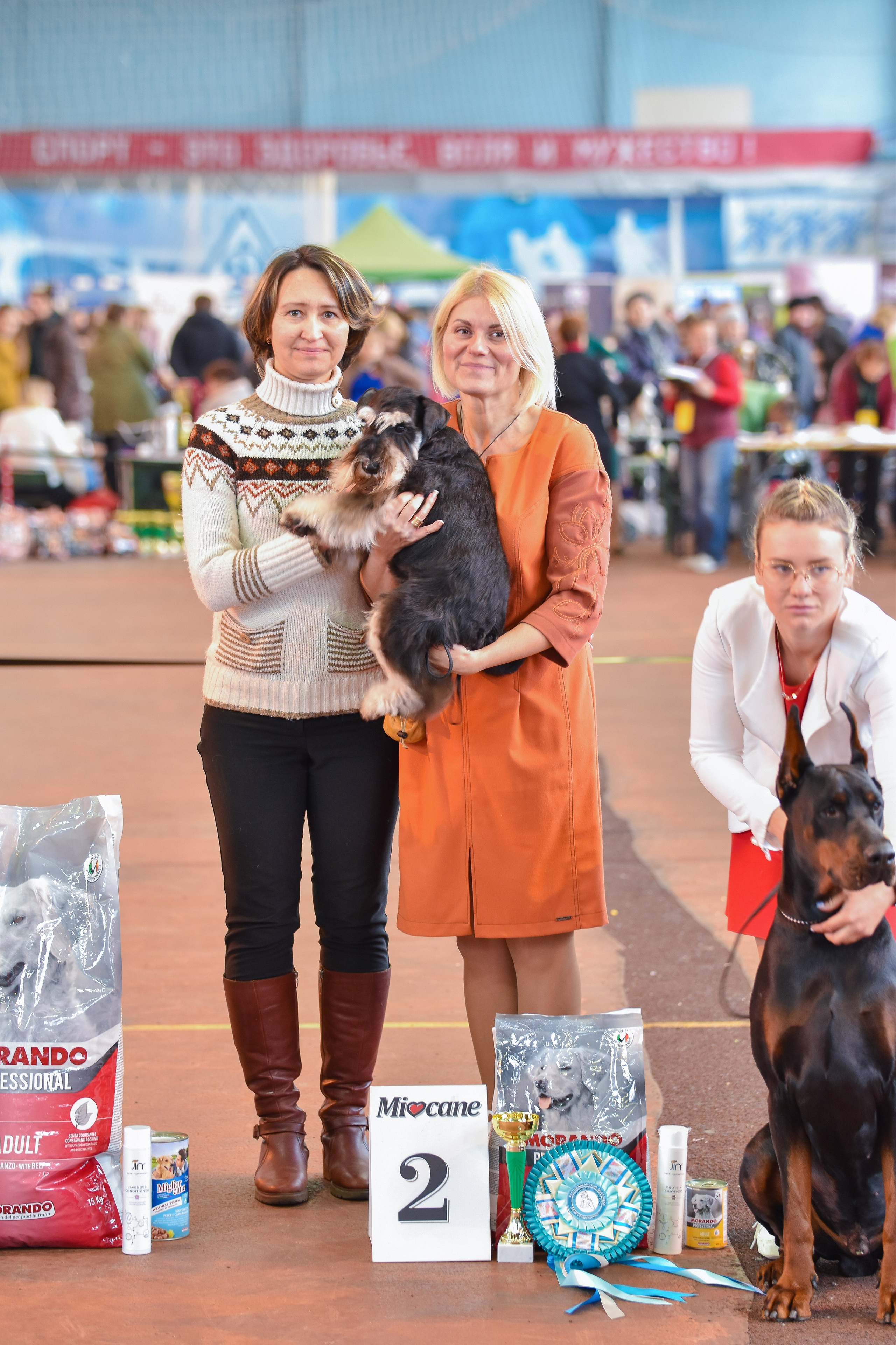 Изар/Delinso Balance Izar Tesoro. Питомник цвергшнауцеров в Беларуси «Делинсо Бэлэнс»