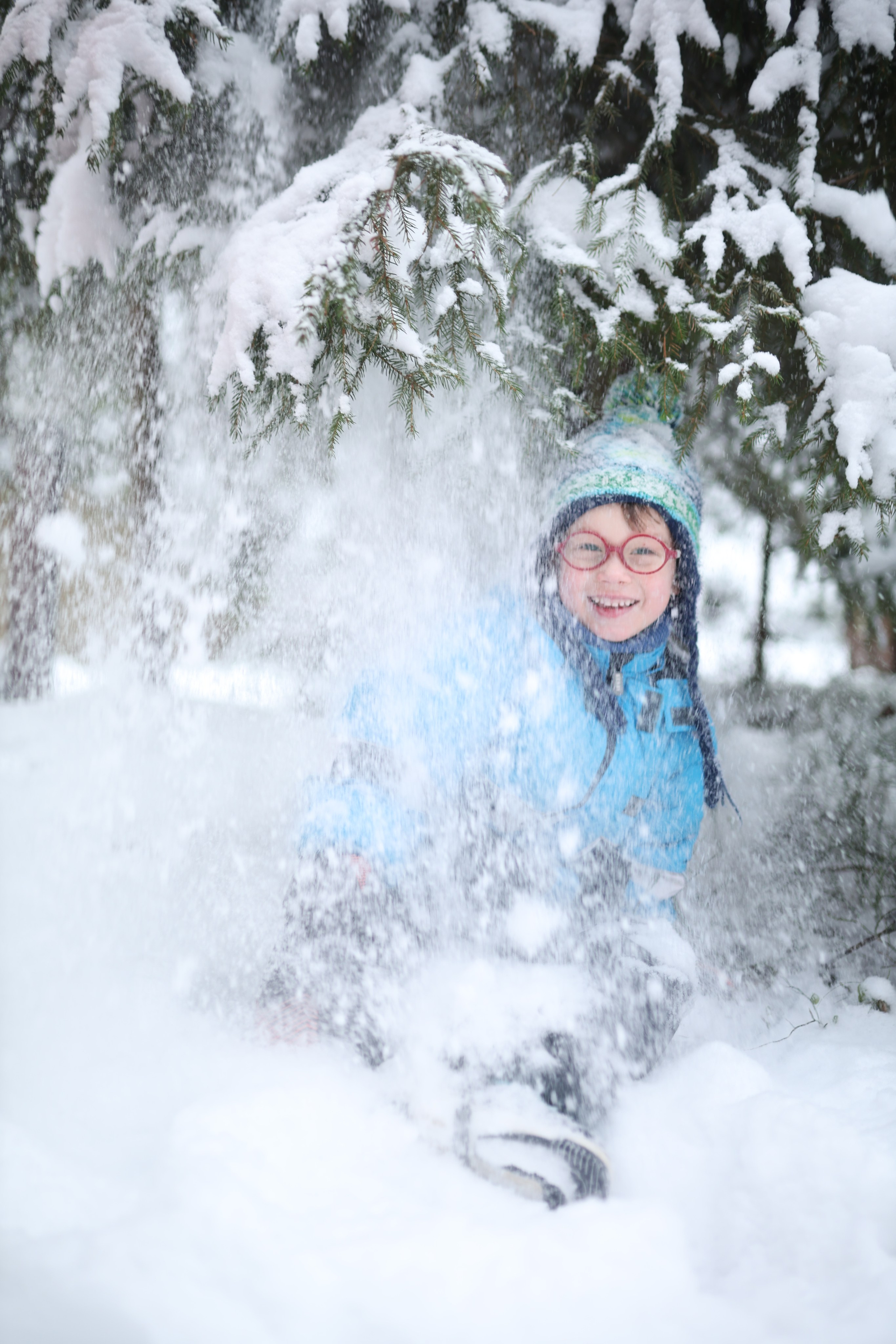 Дино парк. Фотосервис курорта «Охта Парк­­­»