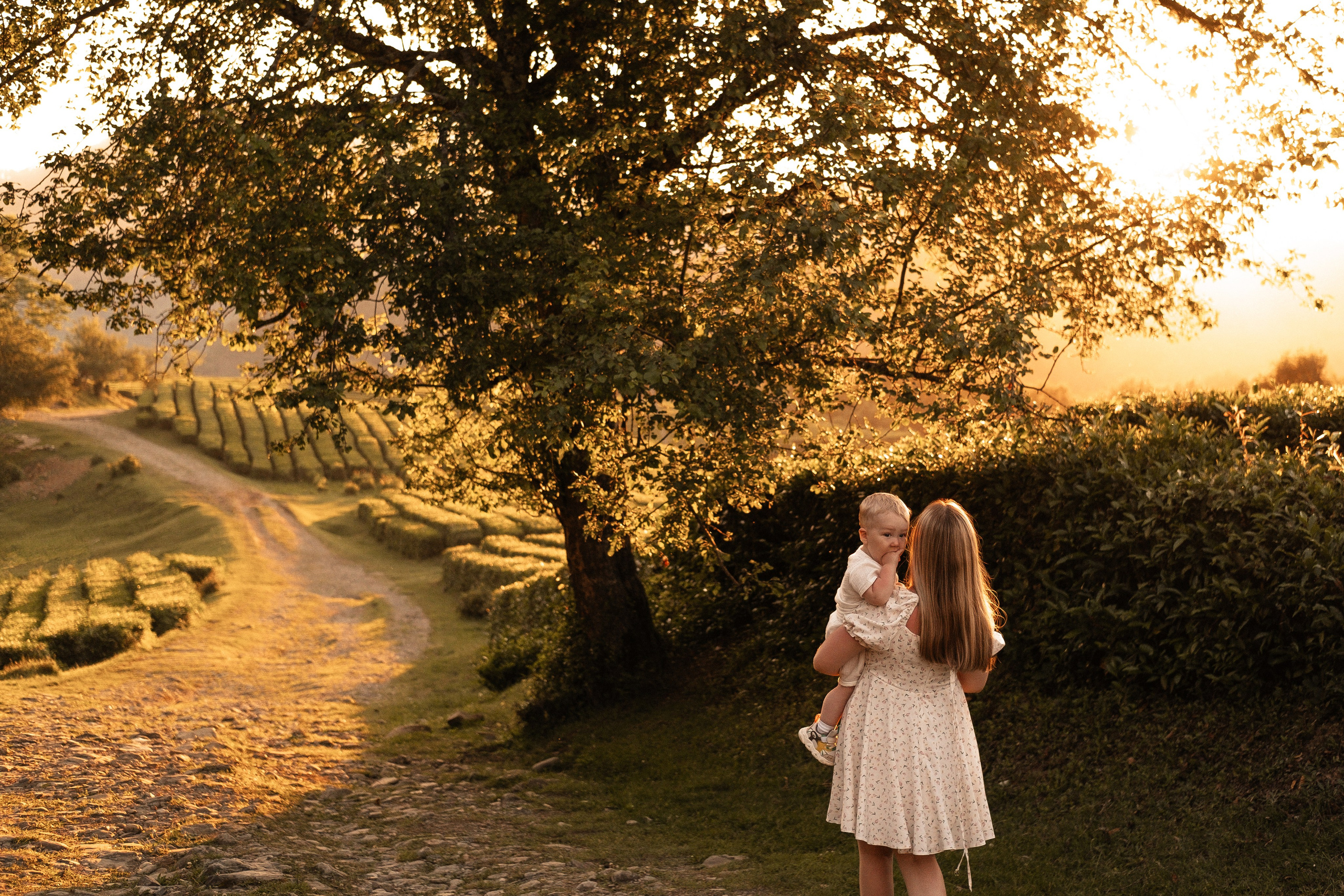 Семейные фотосессии в Сочи, Сириус и на Красной поляне. Семейный, свадебный фотограф Сочи, Адлер, Красная поляна