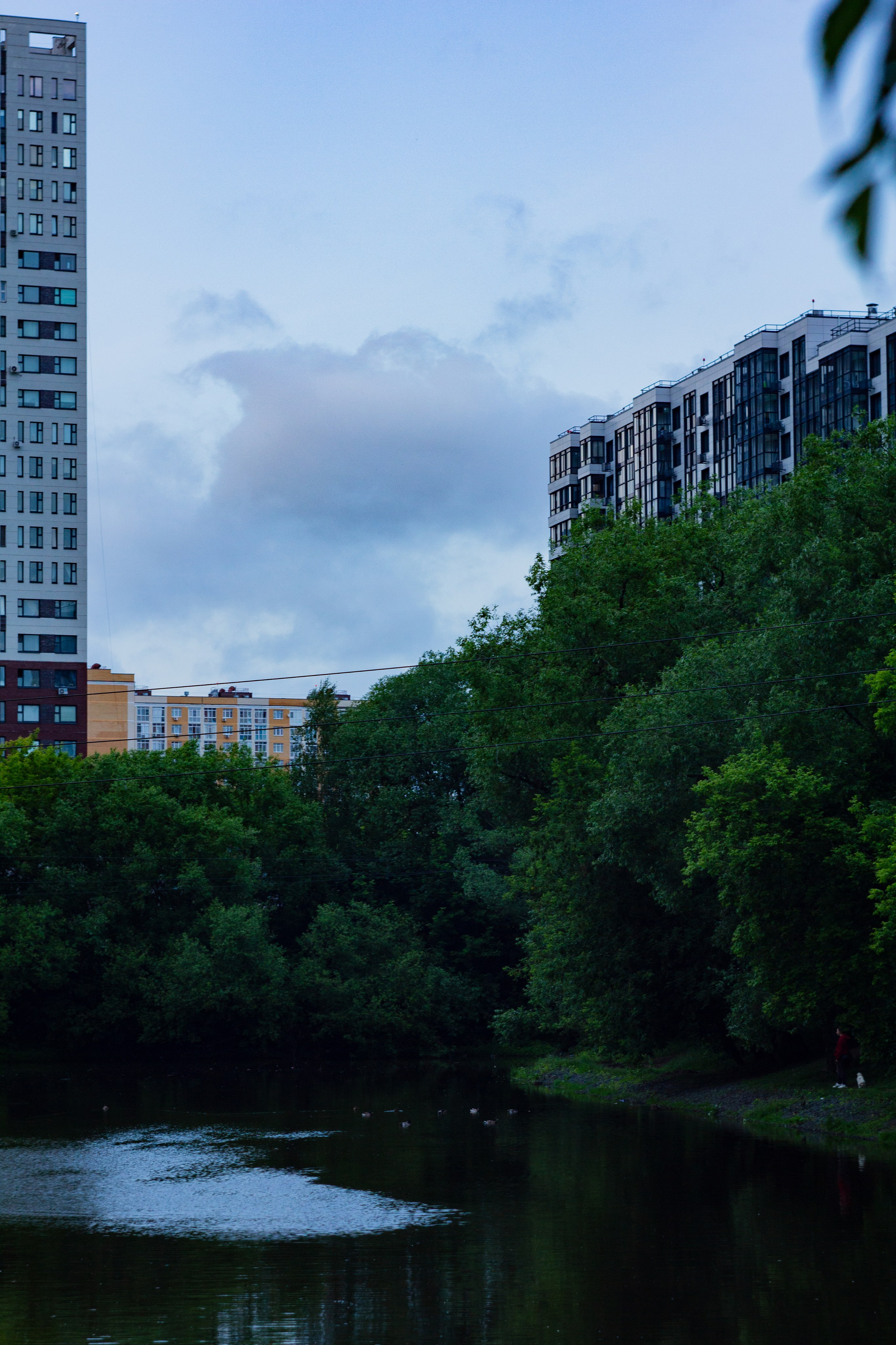 Летний вечер. Папка кадров 📁