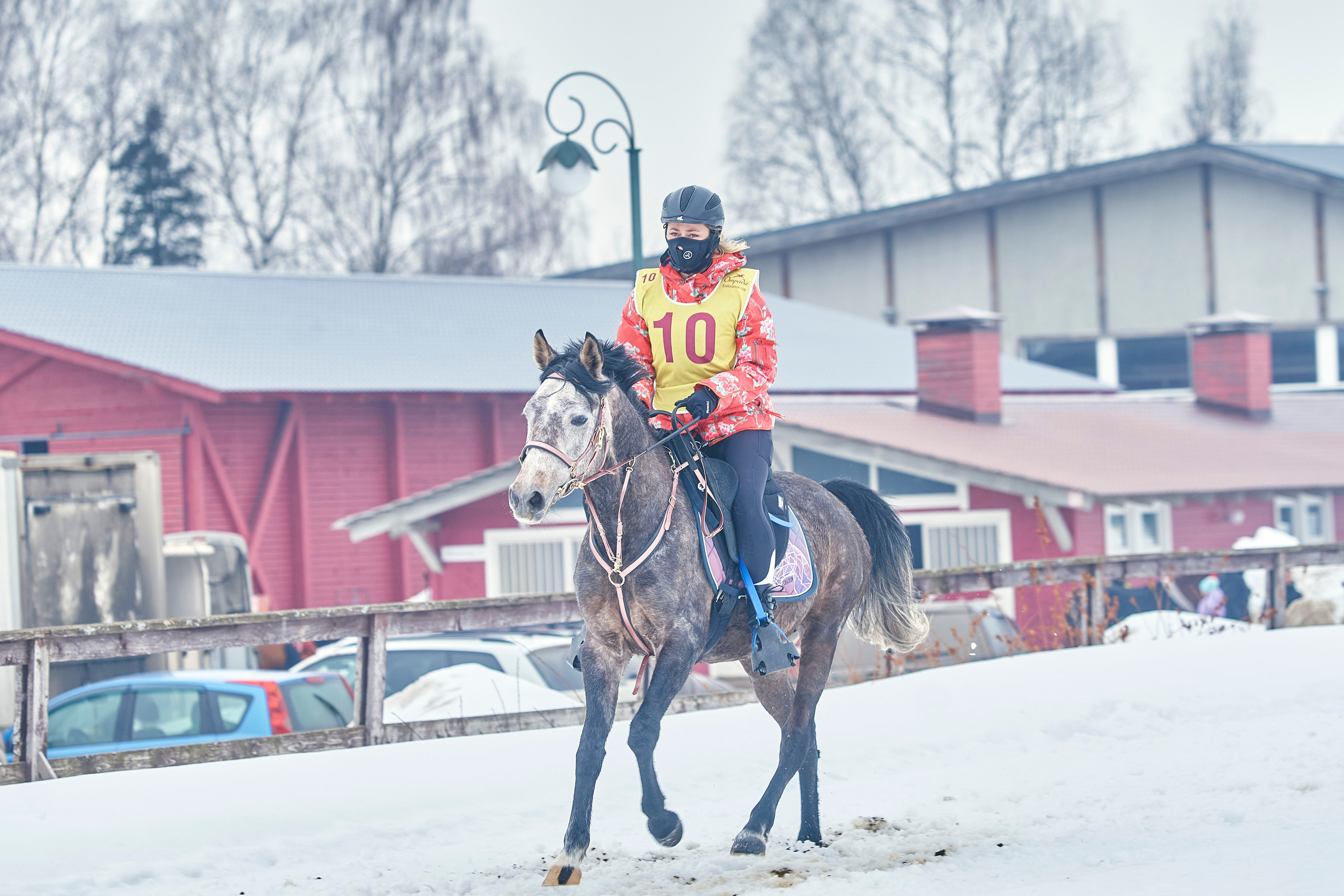 HORSE RACING. Фотограф Наталья Леонова