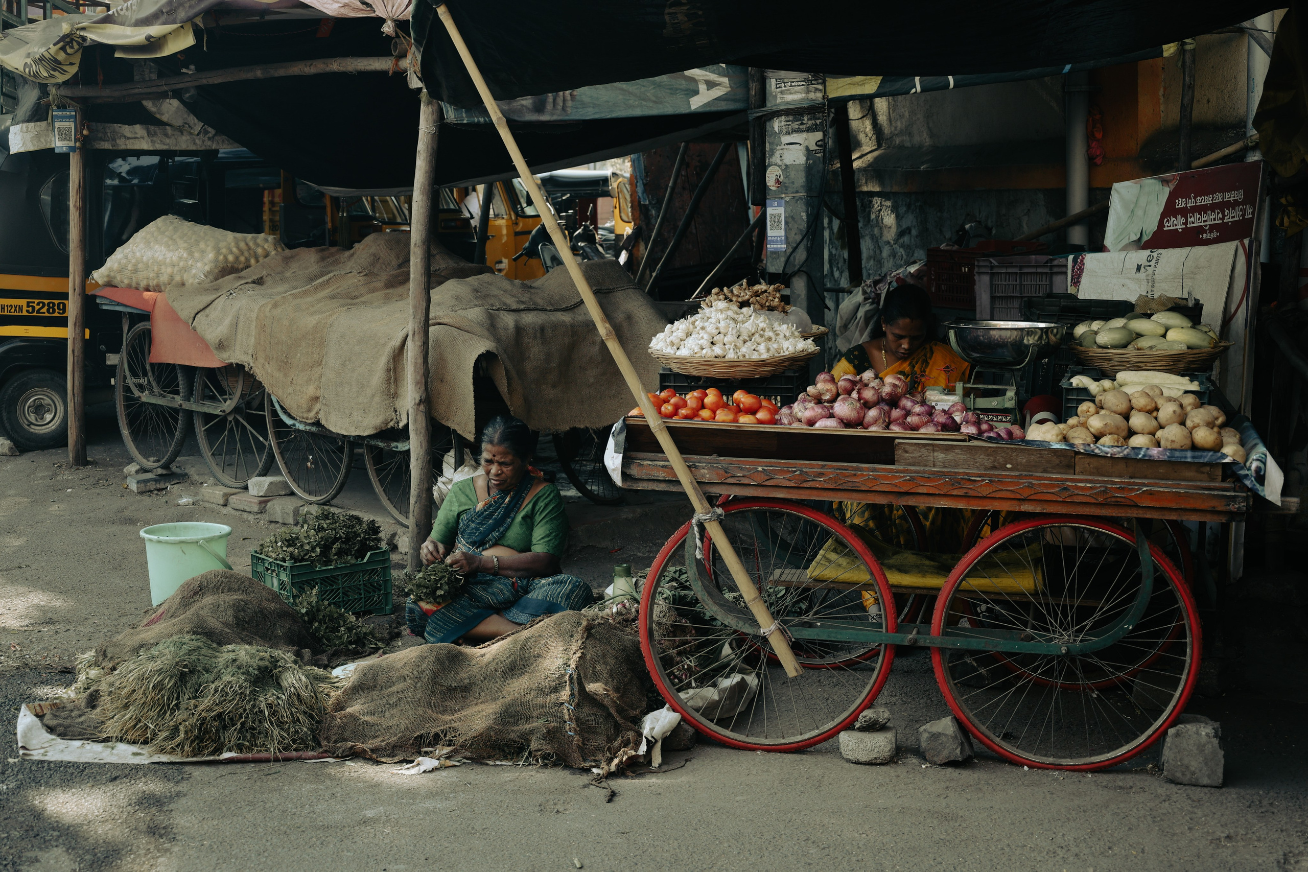 India. Фотограф в Москве