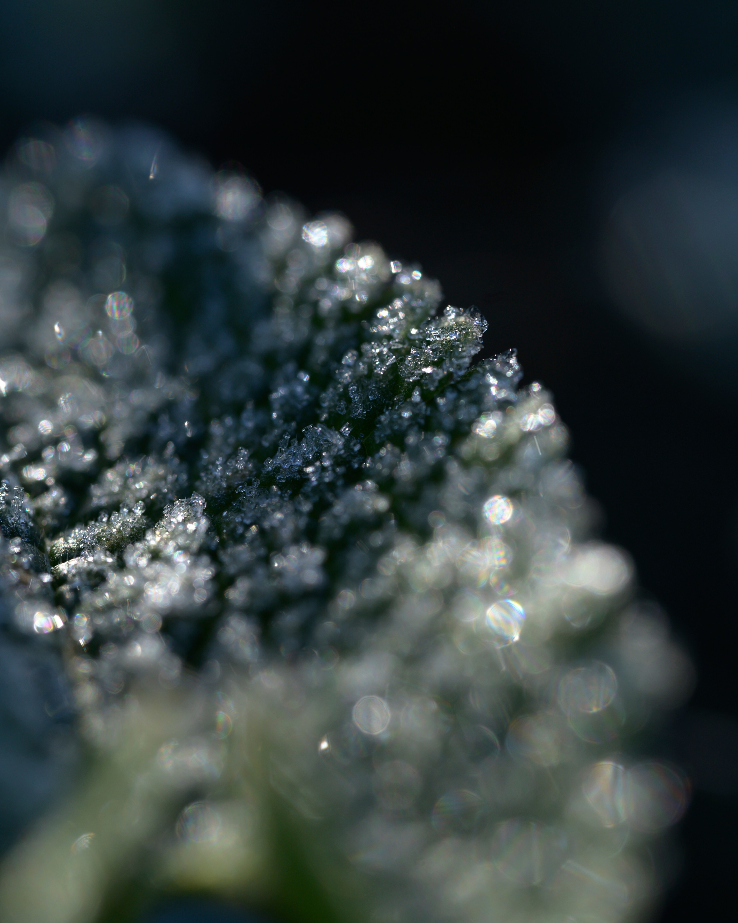 Оренбуржье. Портретный фотограф в Челябинске Катерина Руди