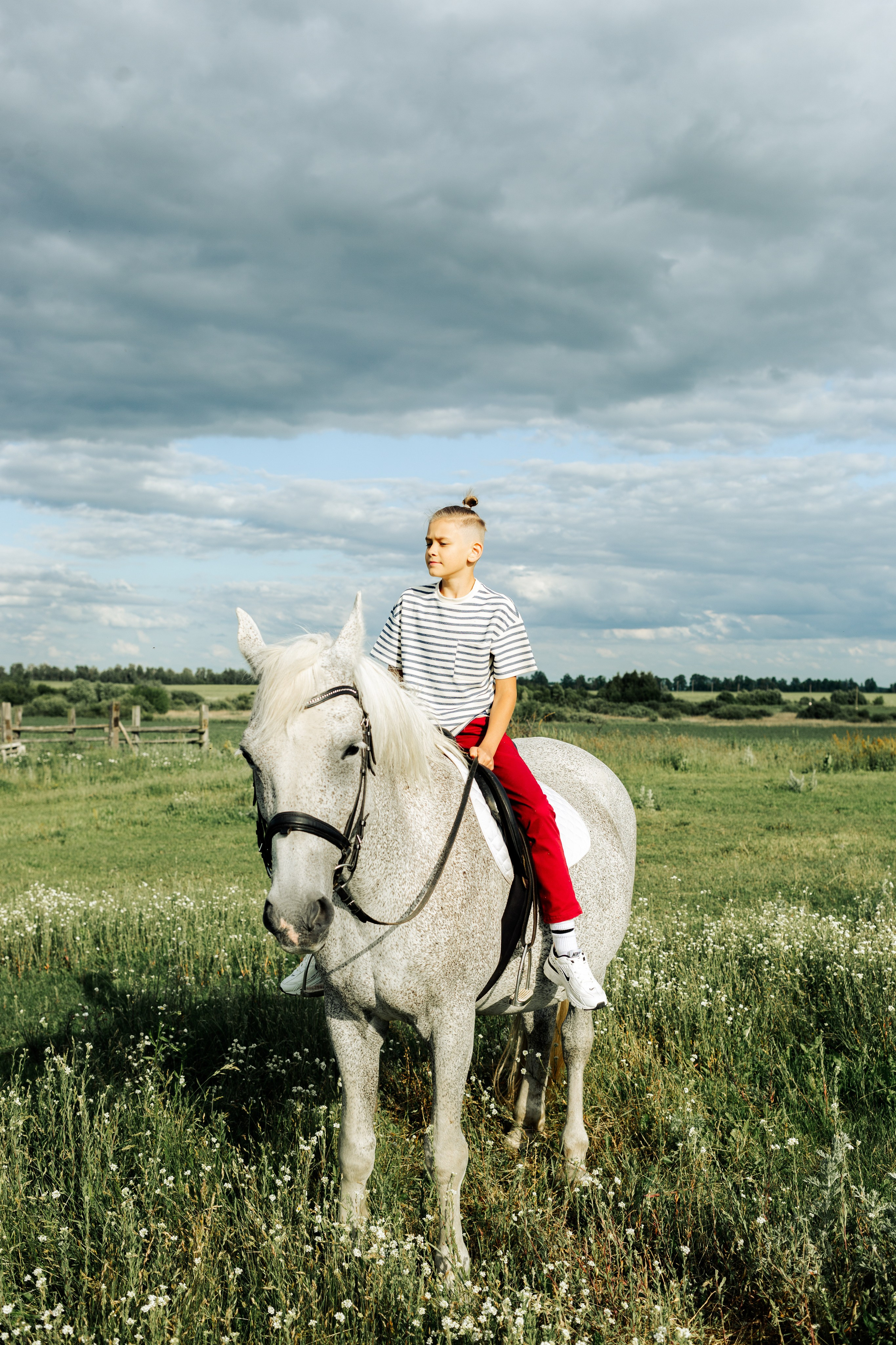 Ветер в гривах. ABRAZ