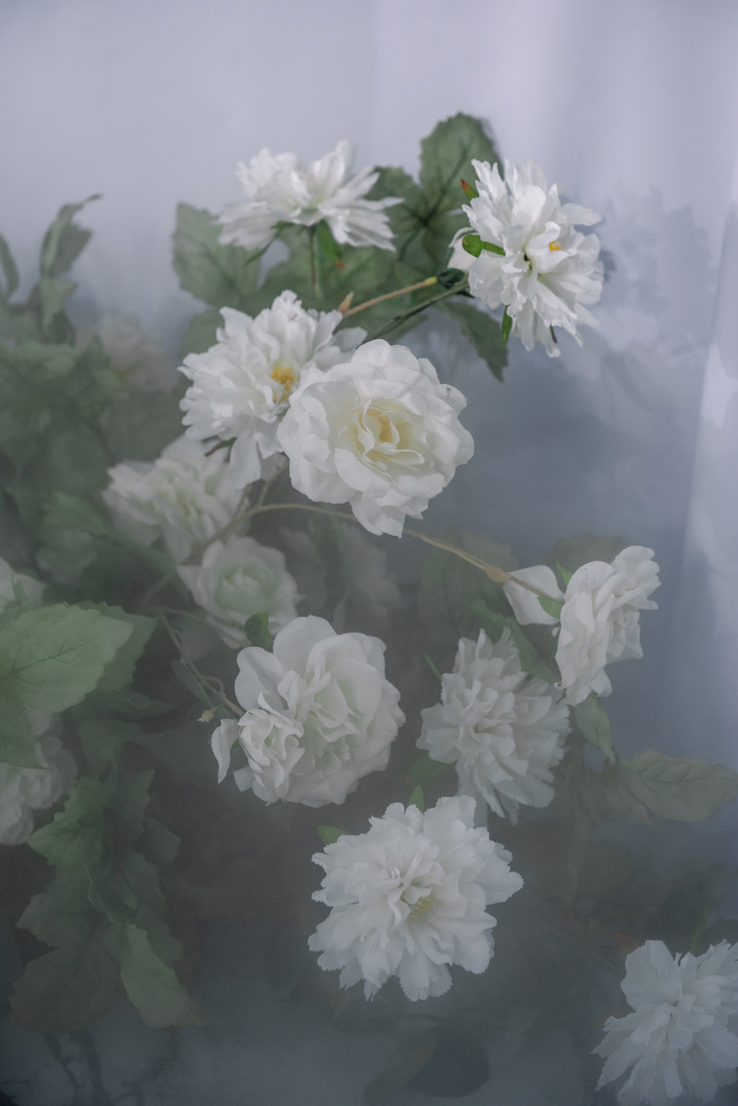 Родион и Дарья. Свадебный и портретный фотограф на Алтае Кузнецова Людмила