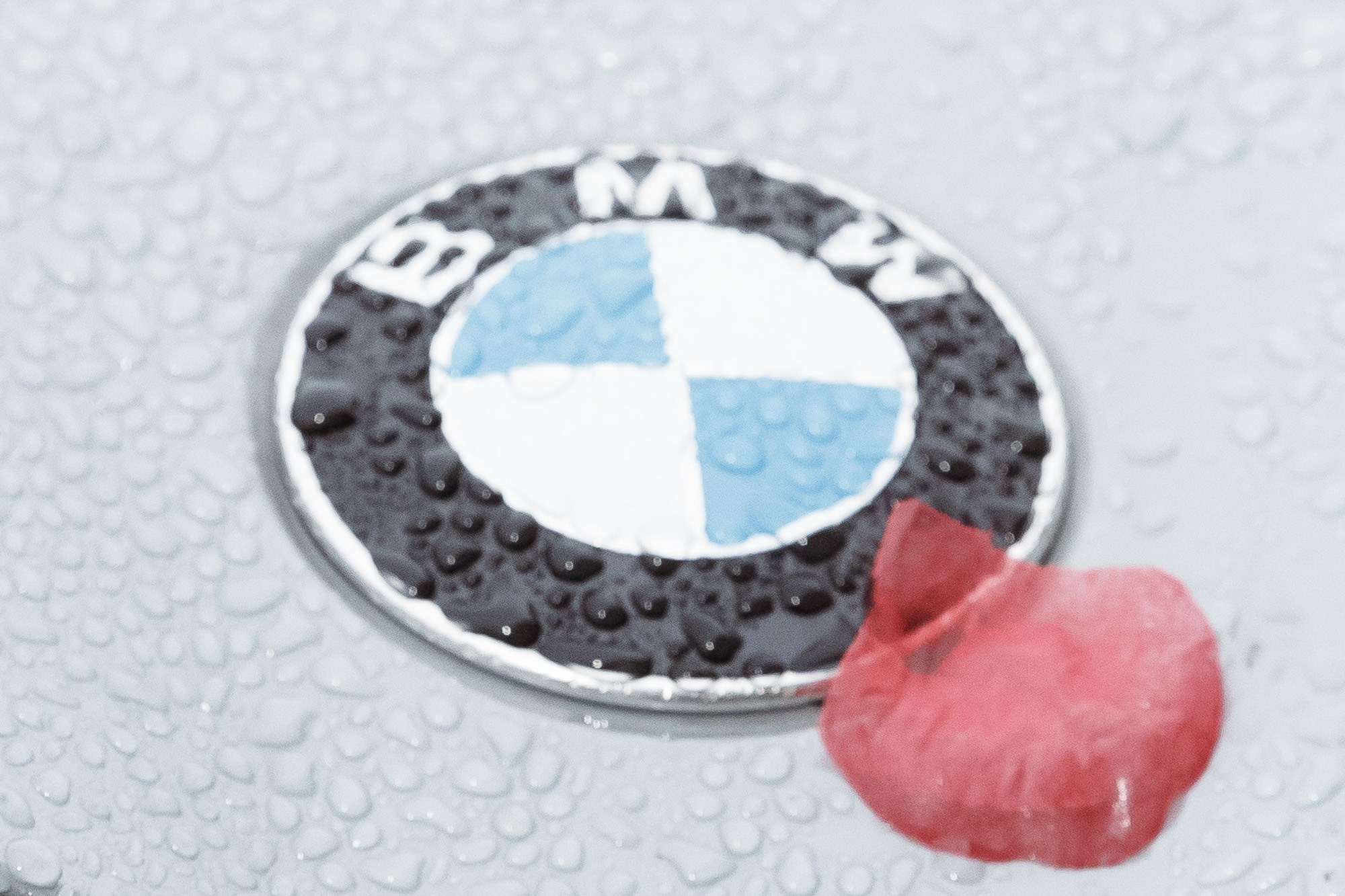 Свадебный день Елизавета + Арсений. Счастливый фотограф Елена Лелявочка Санкт-Петербург