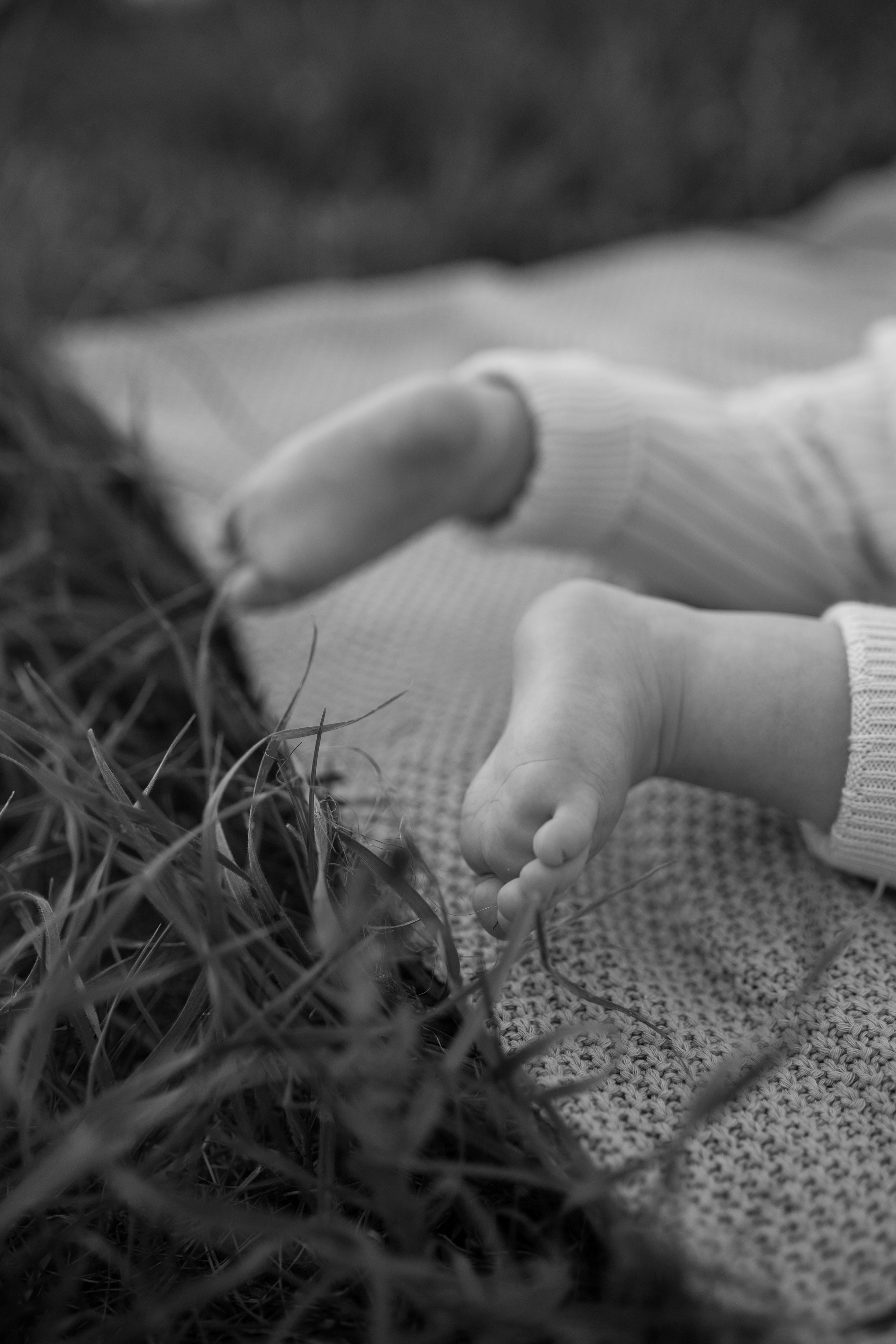 Поле, лето и любовь. Семейный и свадебный фотограф в Тамбове Ксения Плотникова