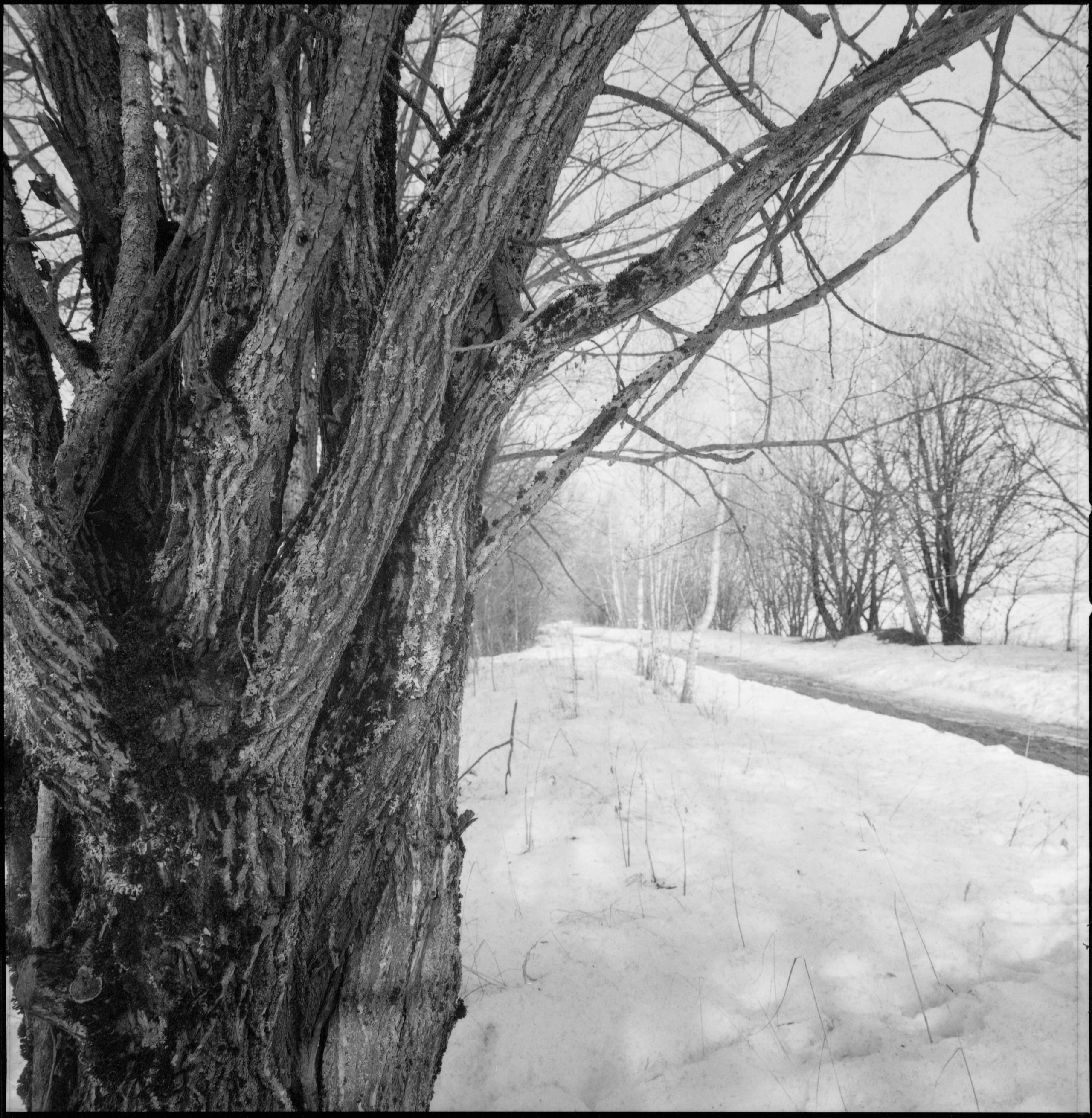 12 кадров № 1. Artkapella|Олег Кузнецов