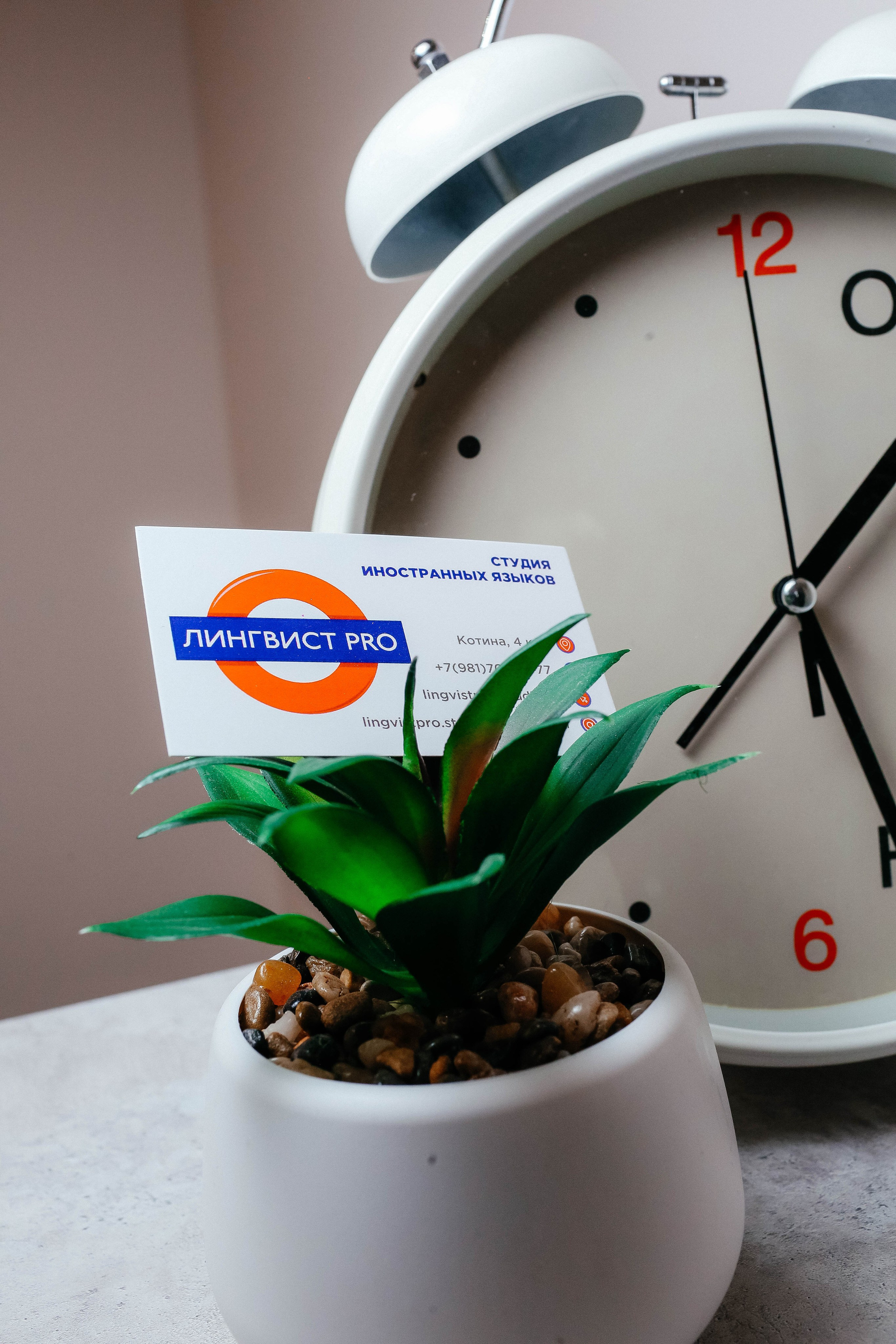 Предметная съемка. Твой снимок СПб