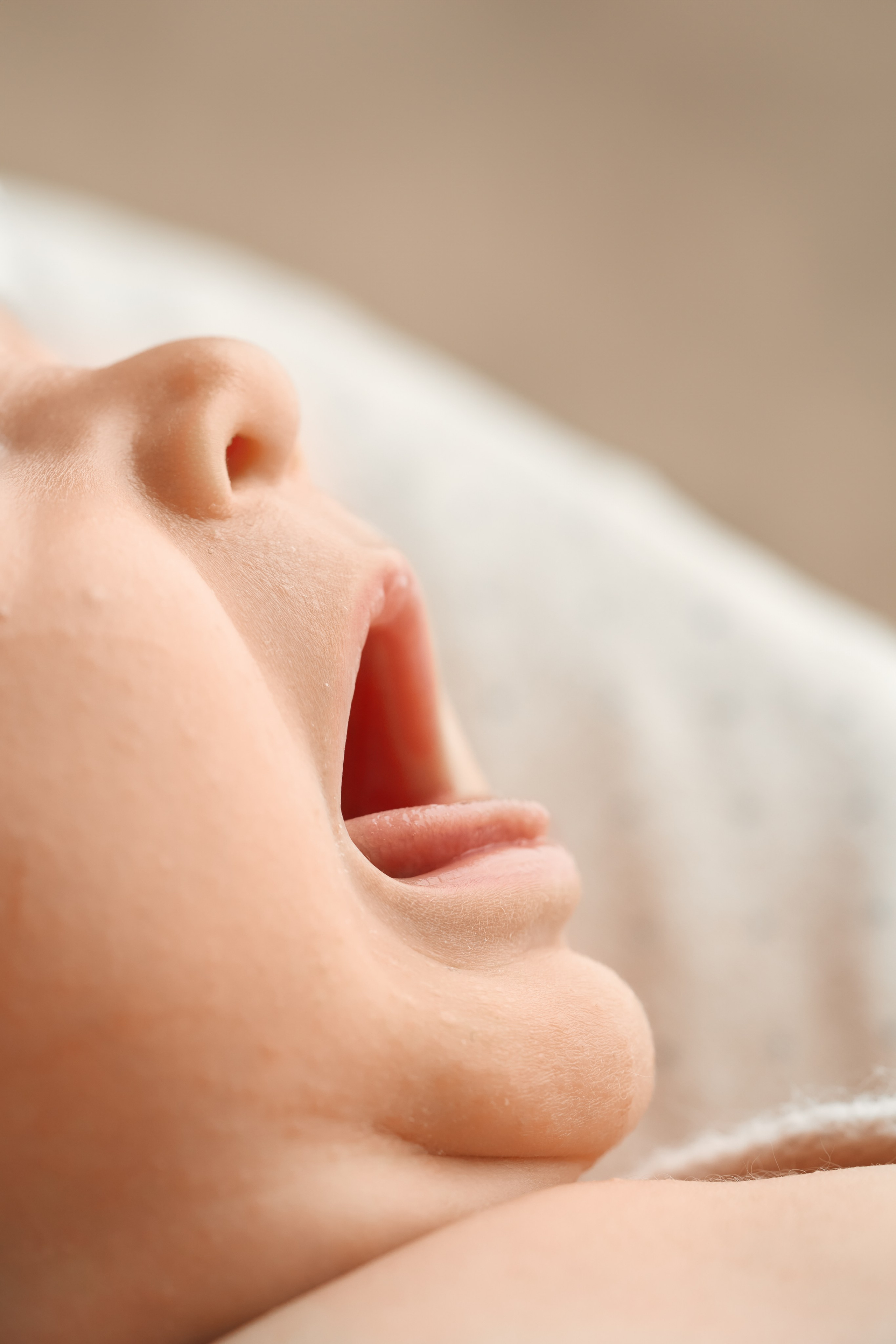 Платон. Фотограф новорожденных во Владивостоке Ромашко Виктория