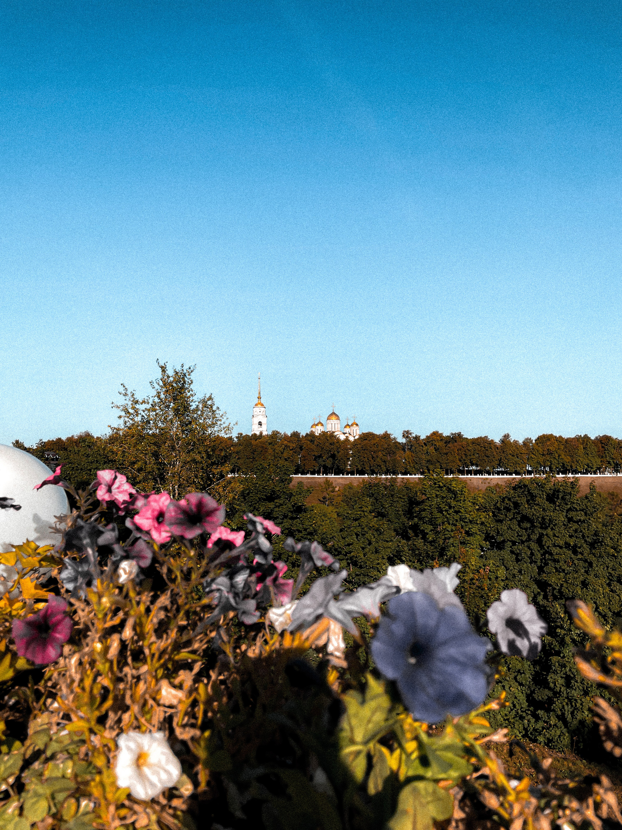 Город Владимир 2024. Фотограф Илья Варакин