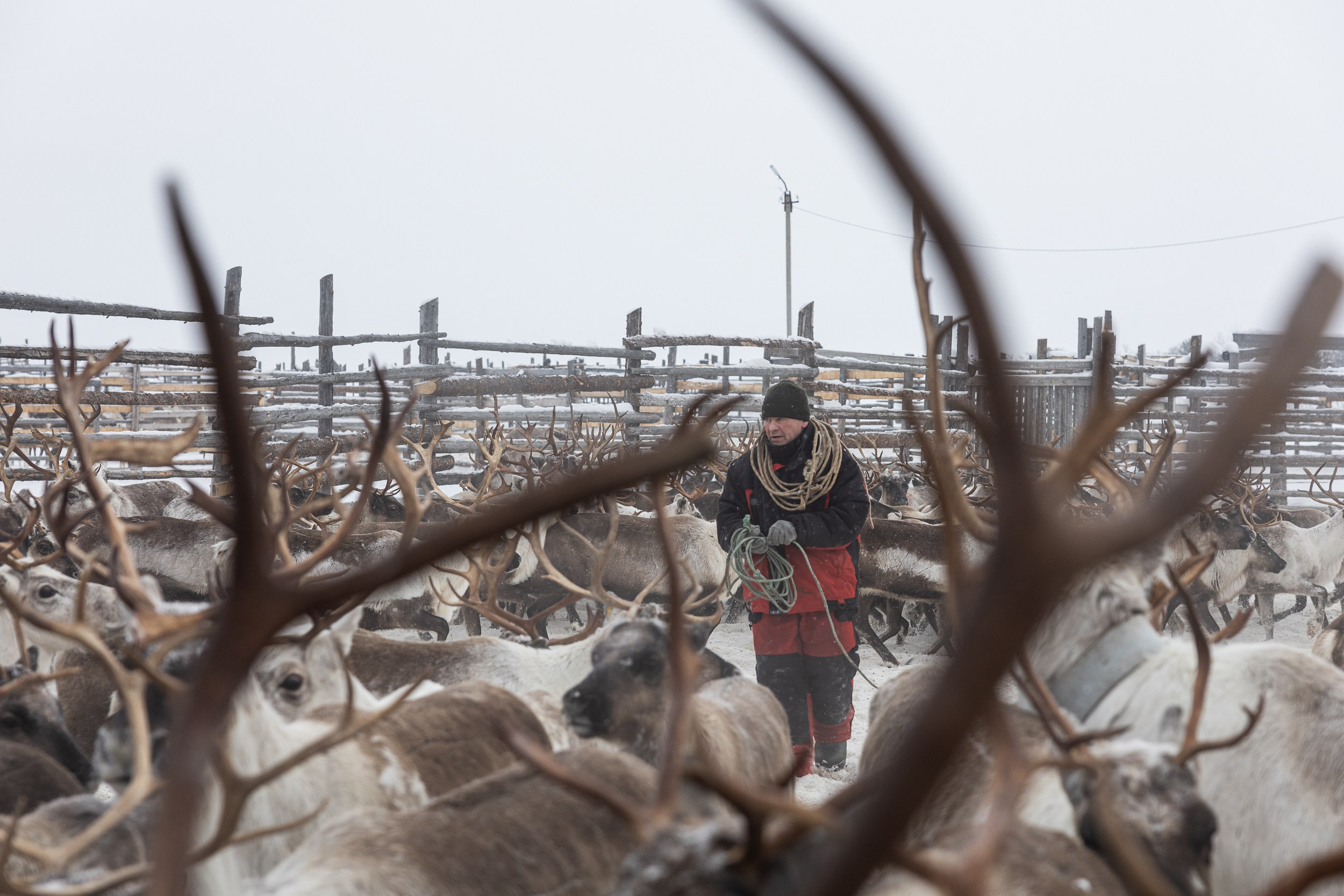 Ловозеро. Оленеводы. Алиса Северная. Визуальные исследования. Пейзажная и документальная фотография