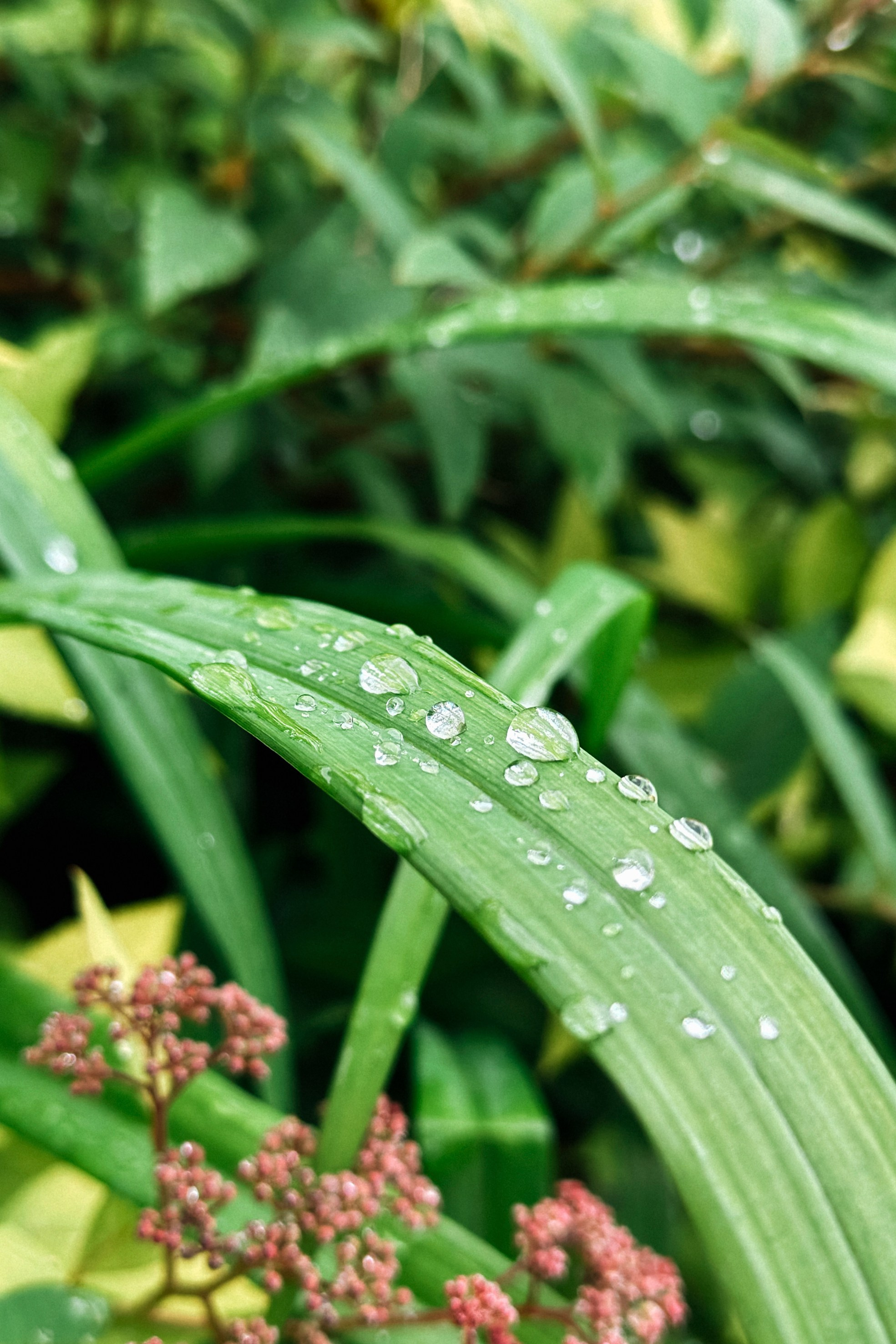 Природа. Команда фотографов Кристины Ивановой