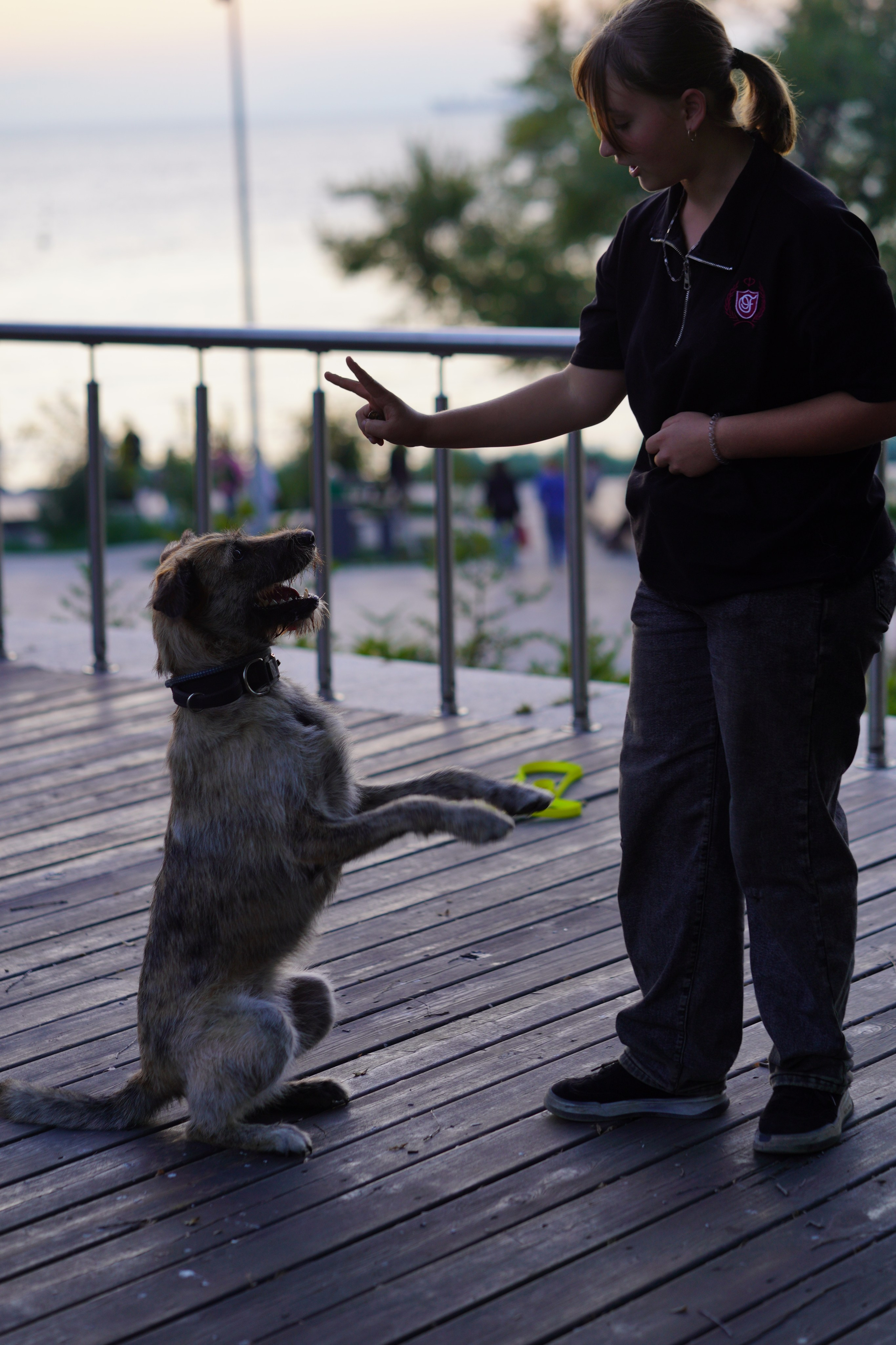 Фото девушки с собачкой. Фотограф Владивосток (художественный портрет, празднование, торжество, мероприятие, фотопрогулка)