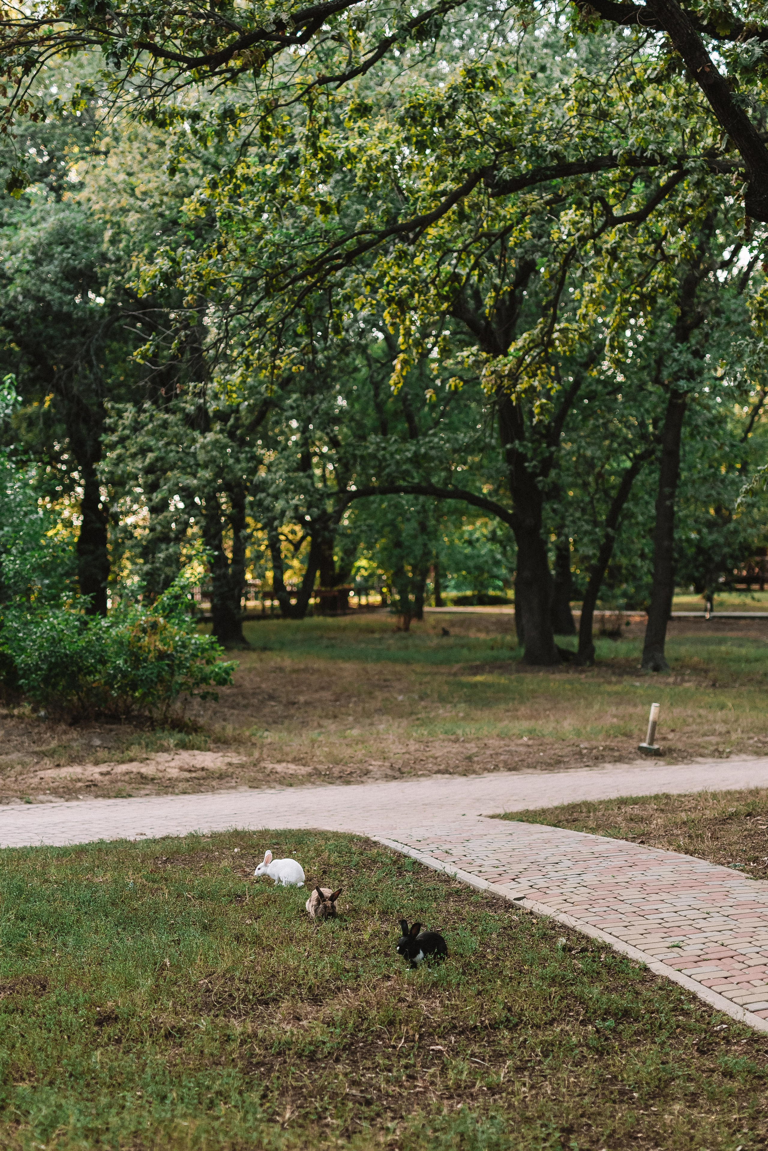 Кристина + Дмитрий. Свадебный и семейный фотограф в Волгограде Олеся Лисицкая