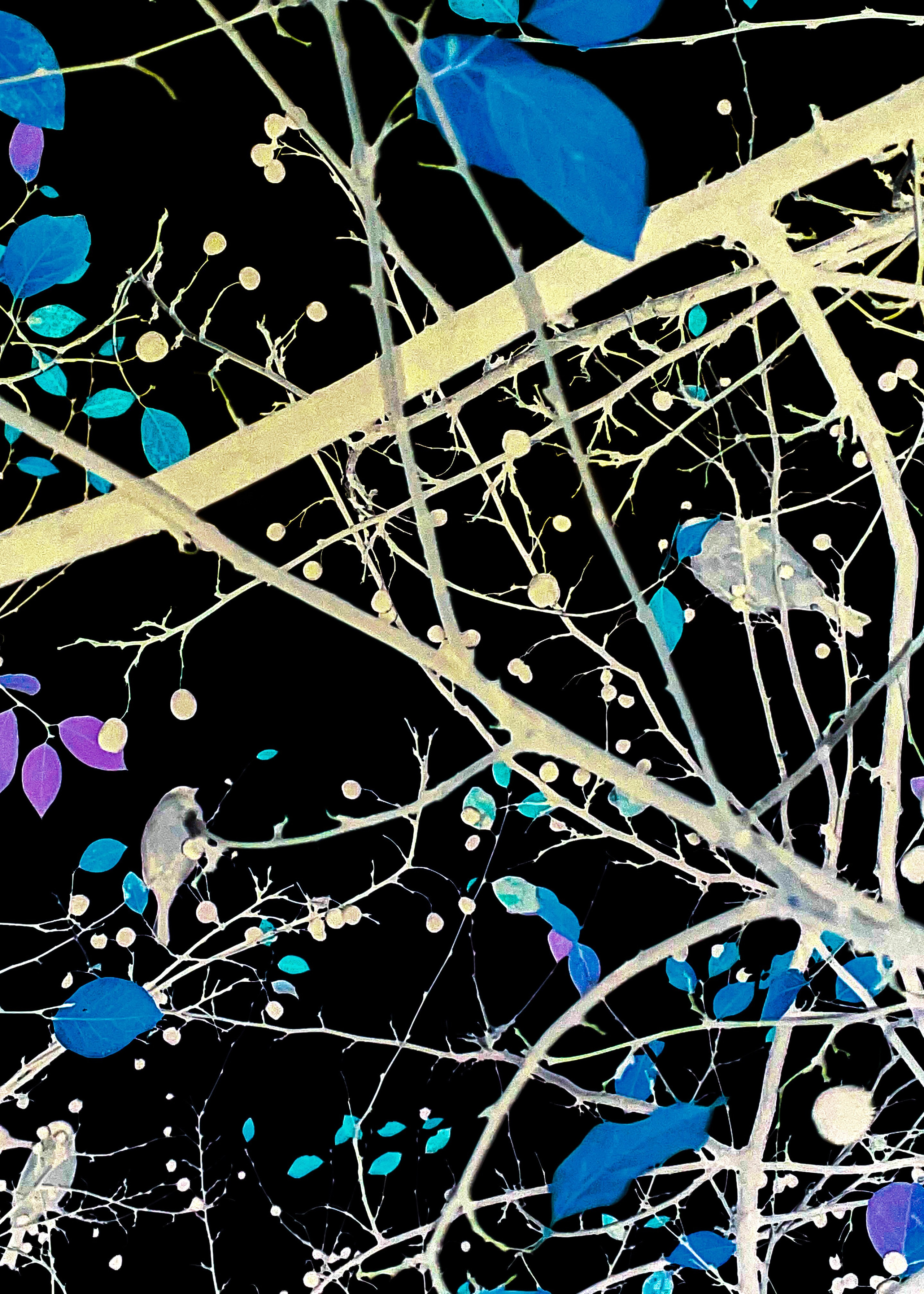 Эксперименты. Колесникова Мария Арт-фотограф