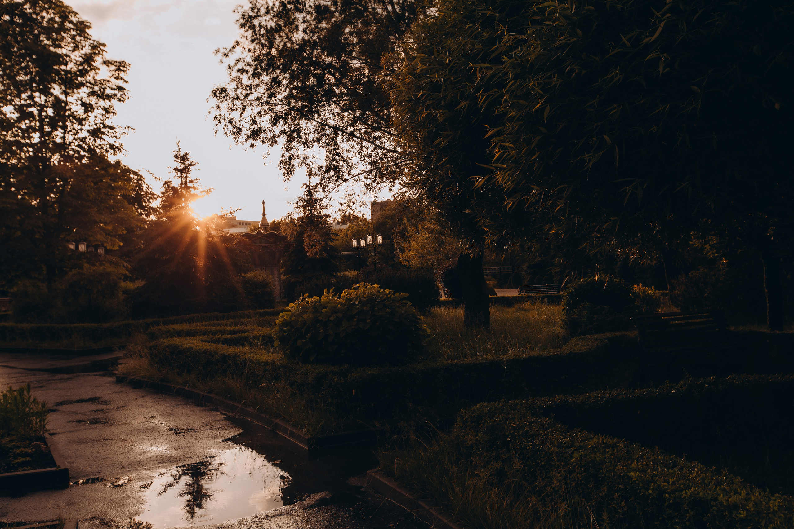 Свадьба Ксении и Сергея. Фотограф Иваново Арина Кудаярова