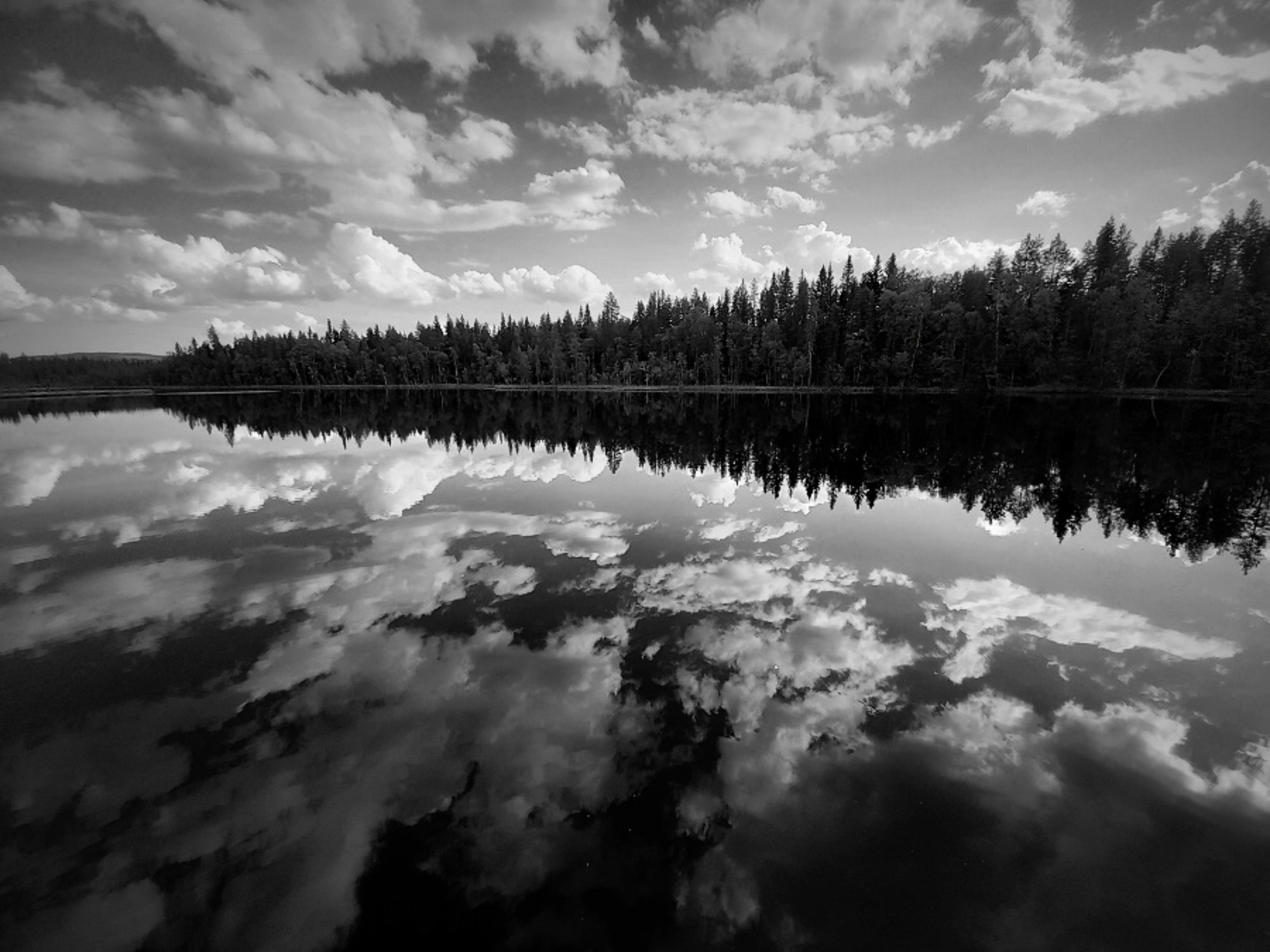 MONOCHROME черно-белое. Семейный и детский фотограф в Буэнос-Айресе Перевозчикова Анна Fotógrafa de familia y niños en Buenos Aires Perevozchikova Anna
