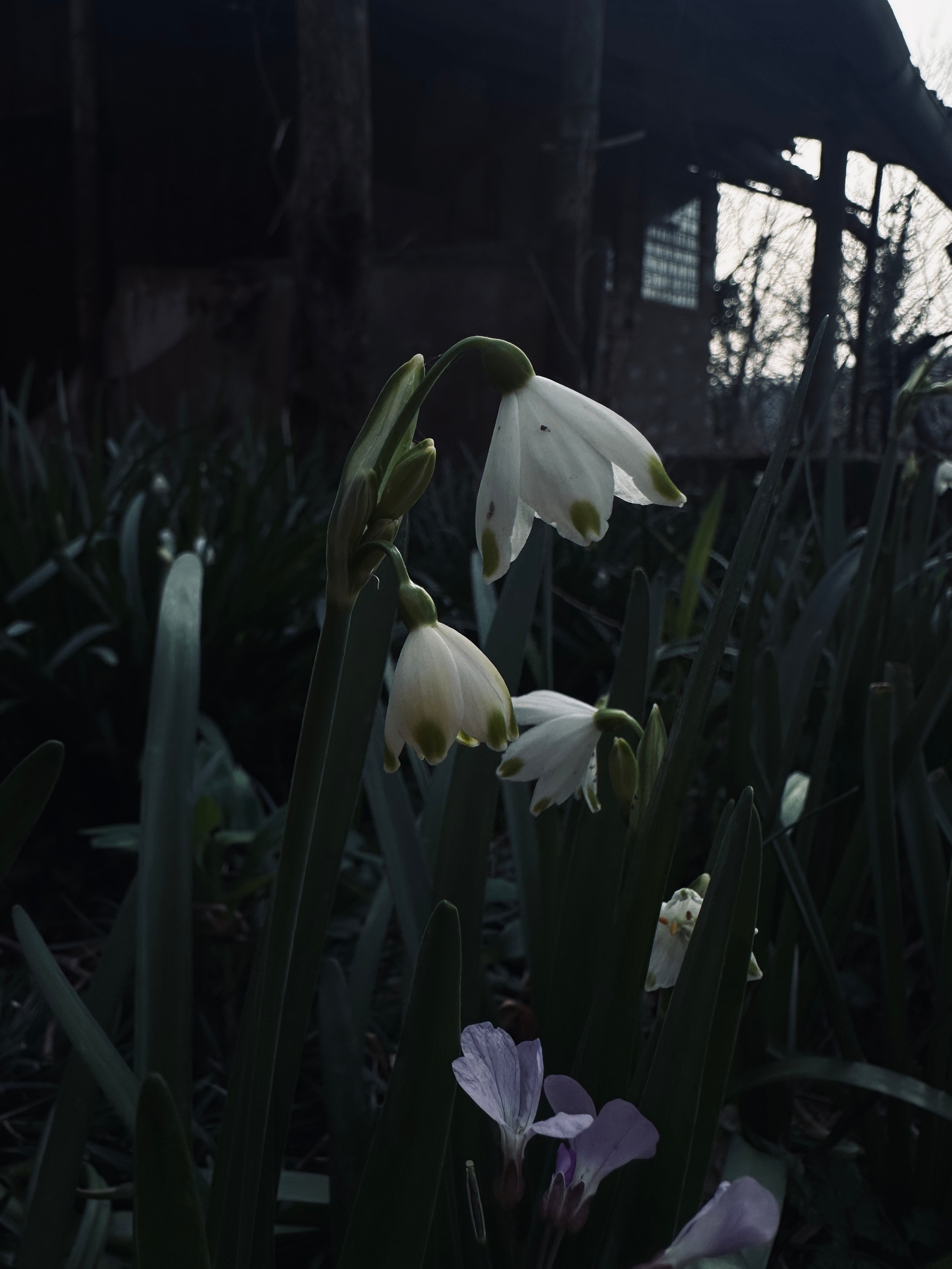 Макро любовь. Смотри, красота!