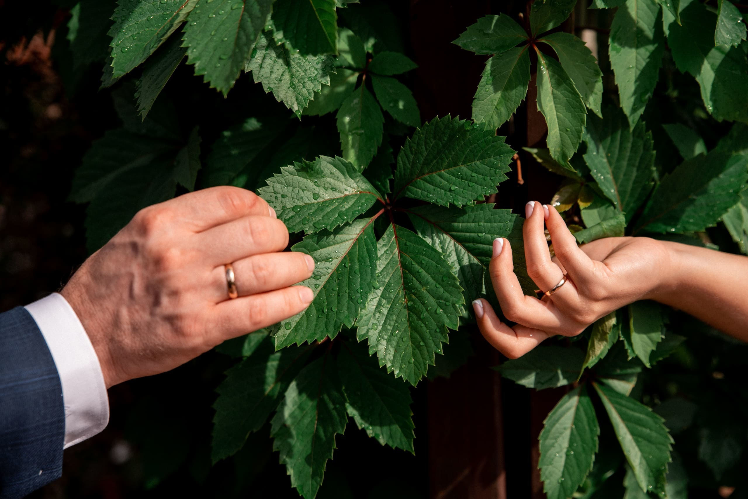Свадьба Алексея и Дарьи в Красноярске
