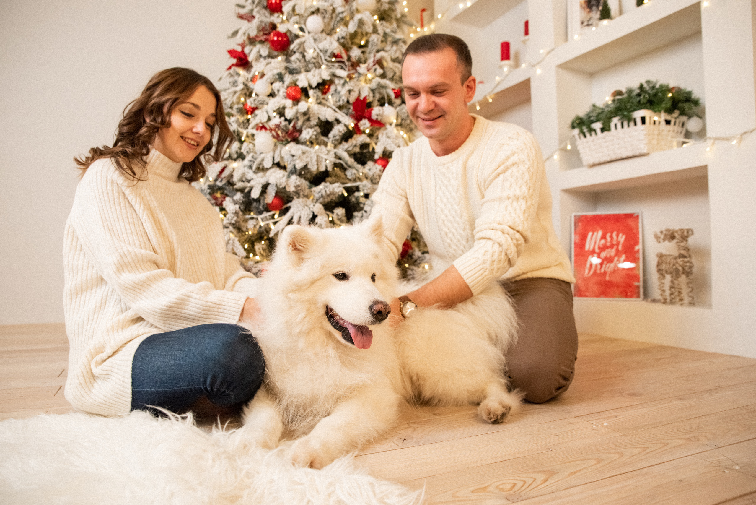 Лавстори с самоедом Бариком в Красноярске